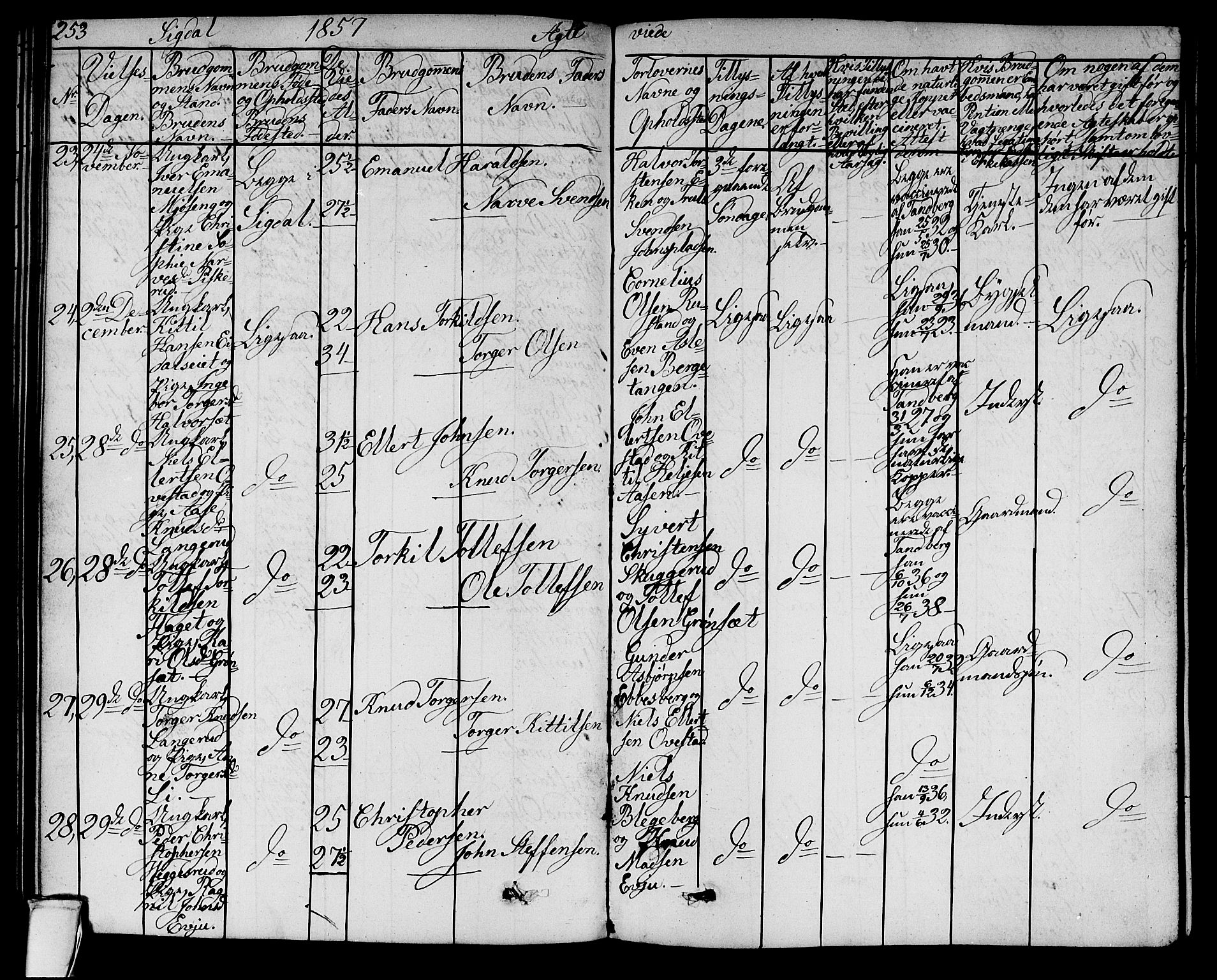 Sigdal kirkebøker, AV/SAKO-A-245/G/Ga/L0003: Parish register (copy) no. I 3, 1857-1878, p. 253