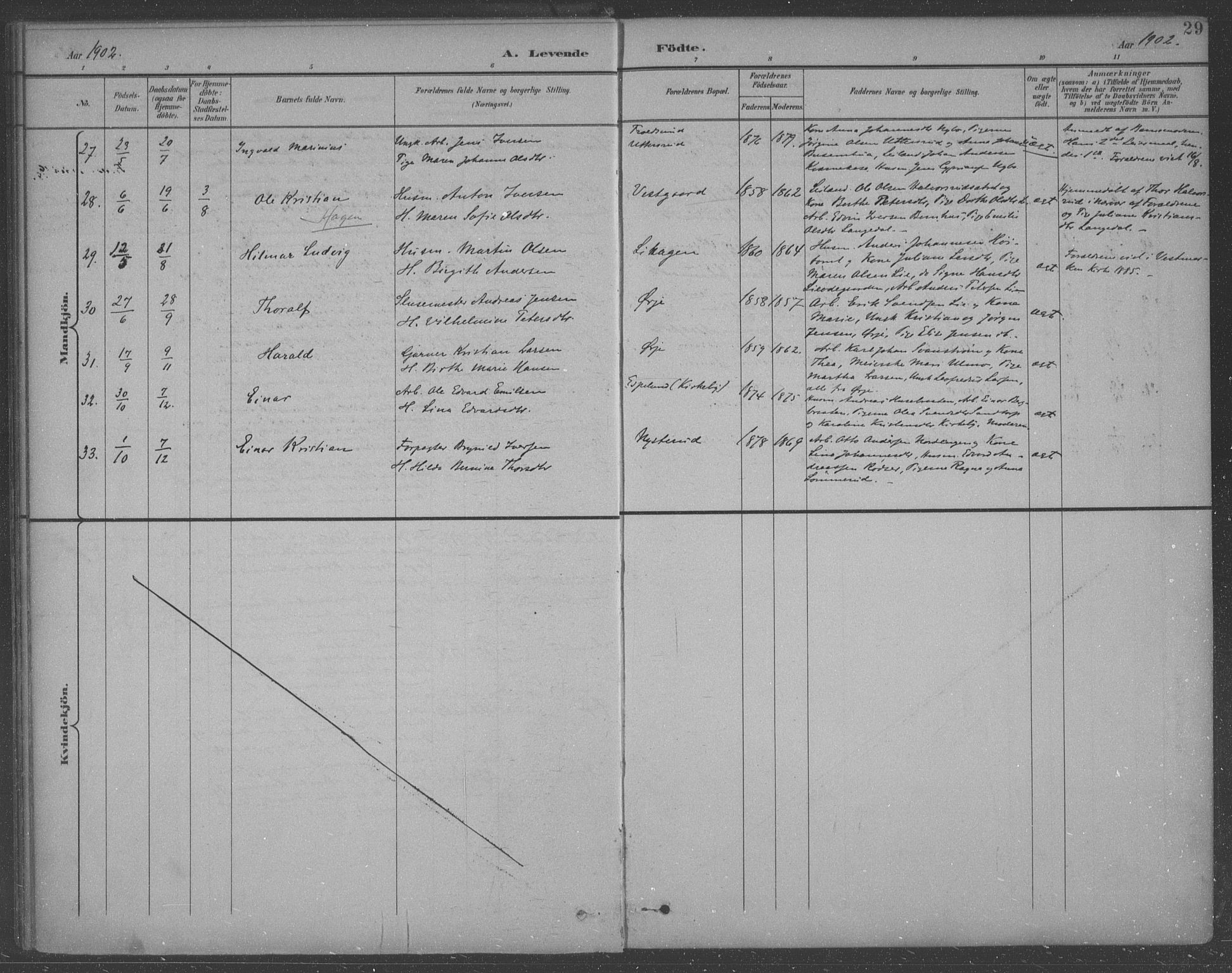 Aremark prestekontor Kirkebøker, SAO/A-10899/F/Fb/L0005: Parish register (official) no. II 5, 1895-1919, p. 29