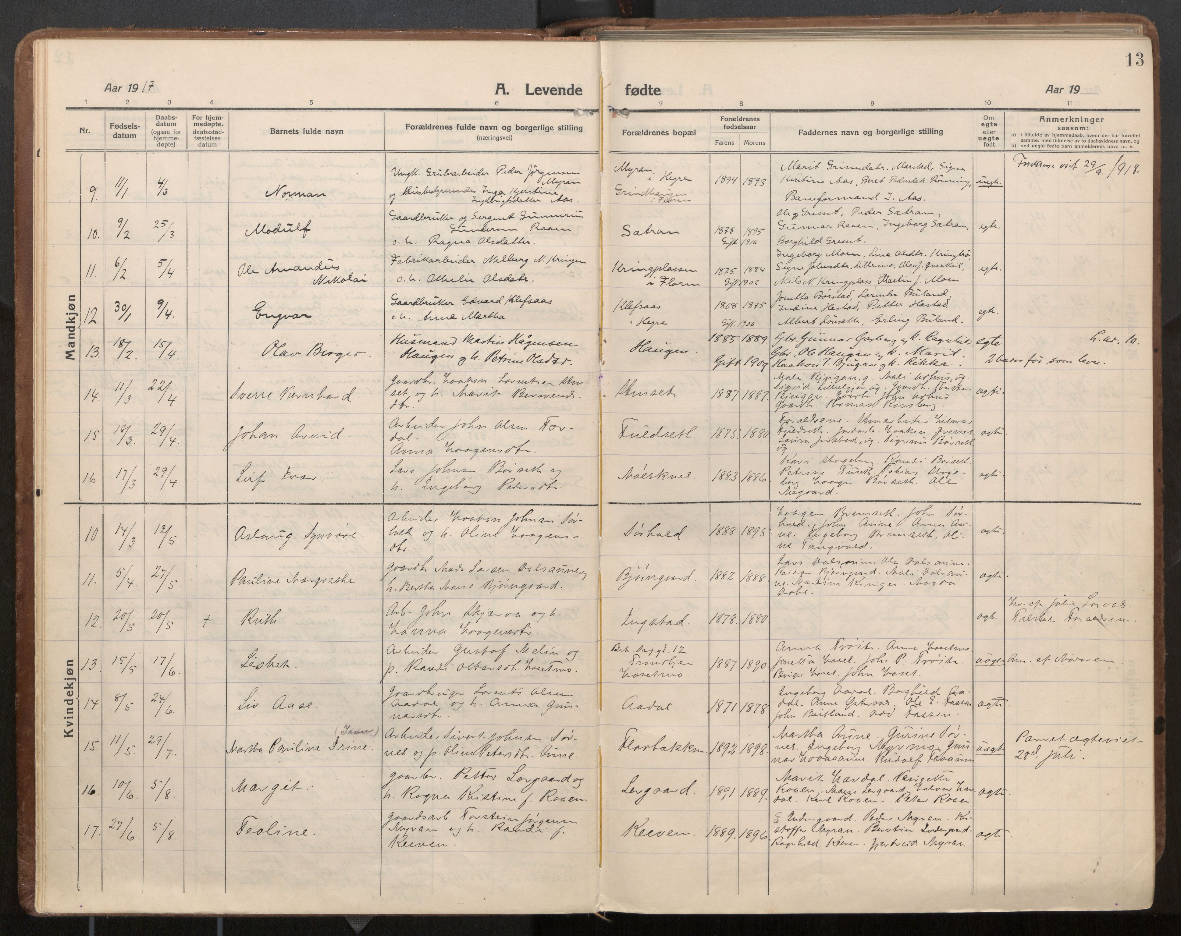 Ministerialprotokoller, klokkerbøker og fødselsregistre - Nord-Trøndelag, SAT/A-1458/703/L0037: Parish register (official) no. 703A10, 1915-1932, p. 13
