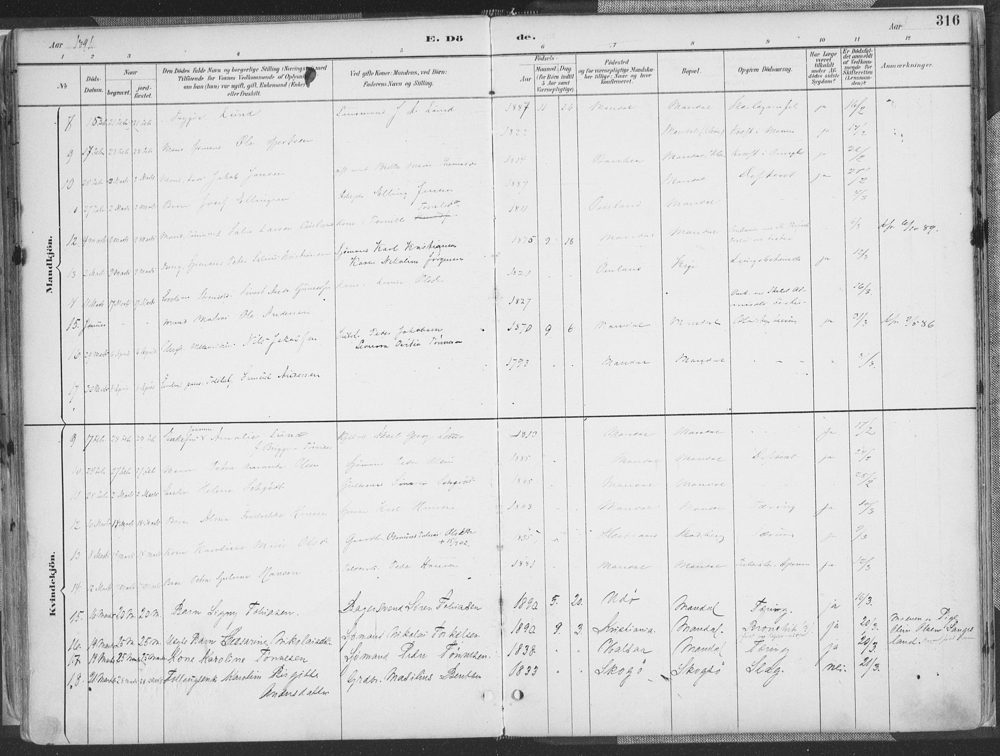 Mandal sokneprestkontor, AV/SAK-1111-0030/F/Fa/Faa/L0018: Parish register (official) no. A 18, 1890-1905, p. 316