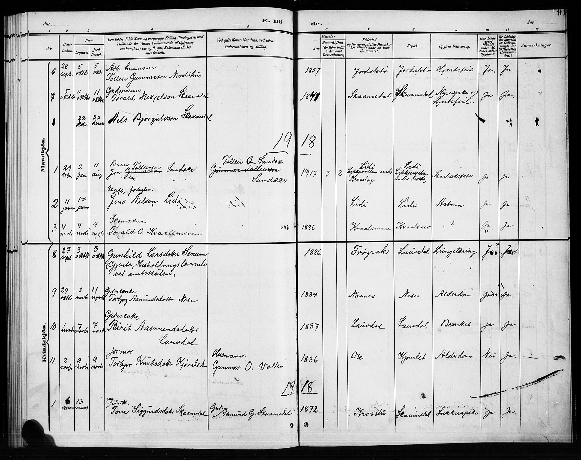 Bygland sokneprestkontor, SAK/1111-0006/F/Fb/Fbb/L0004: Parish register (copy) no. B 4, 1902-1920, p. 91