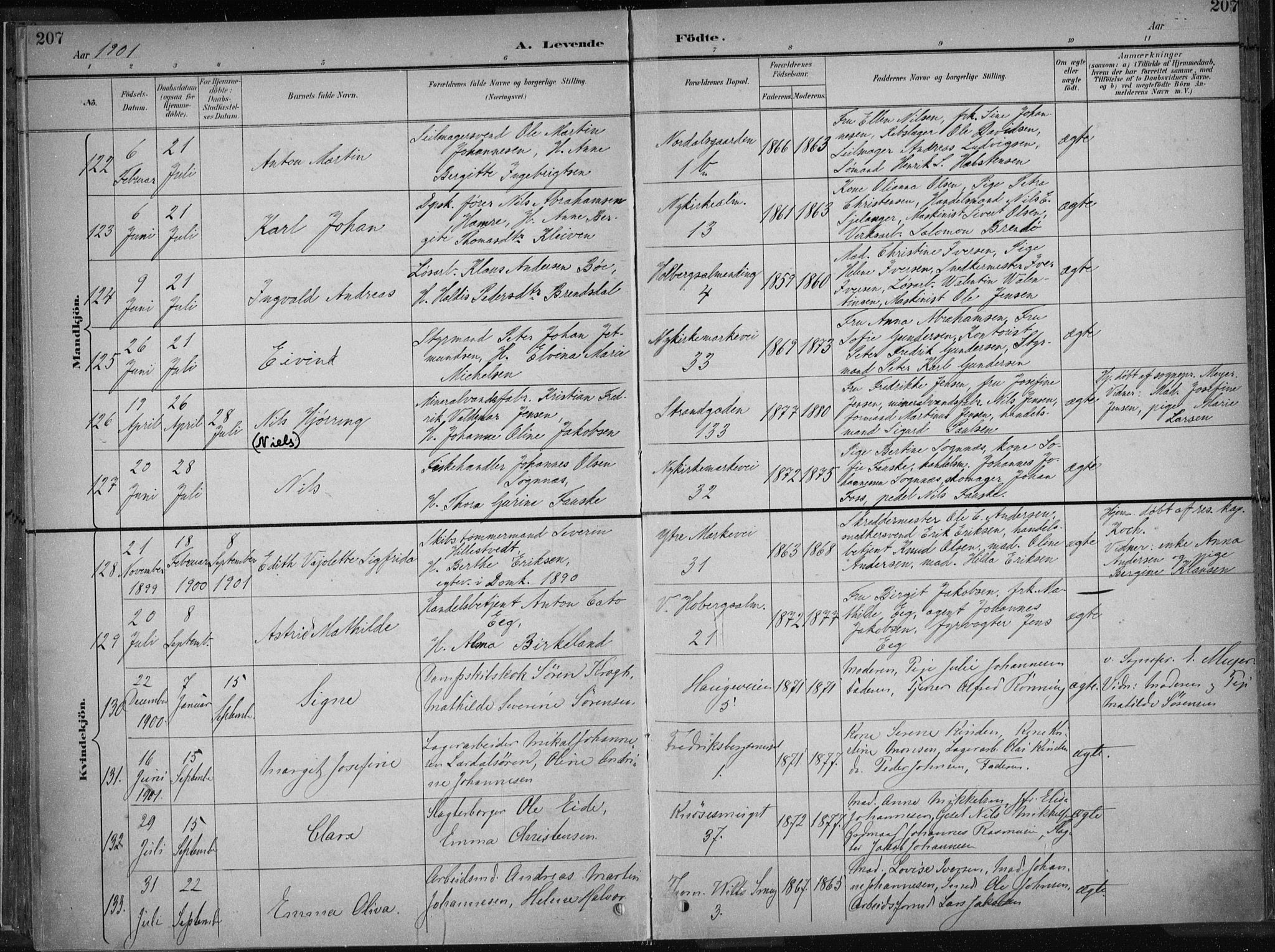 Nykirken Sokneprestembete, SAB/A-77101/H/Haa/L0018: Parish register (official) no. B 6, 1895-1903, p. 207