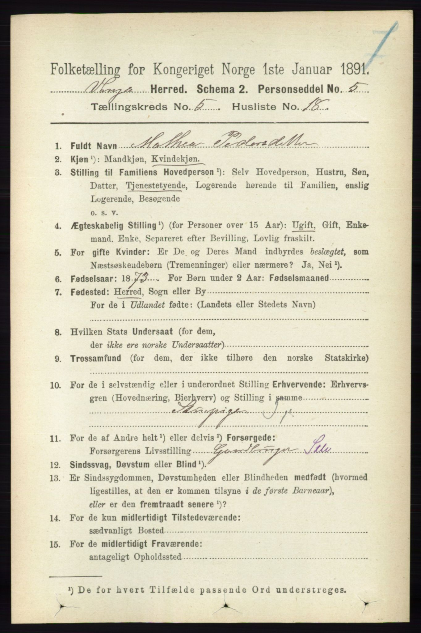 RA, 1891 census for 0414 Vang, 1891, p. 3597