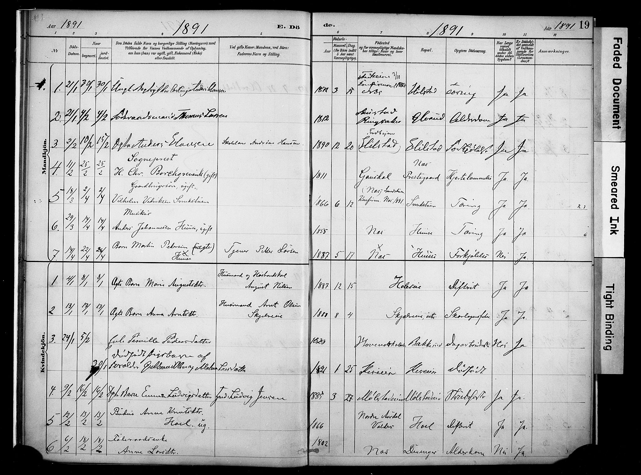 Nes prestekontor, Hedmark, AV/SAH-PREST-020/K/Ka/L0011: Parish register (official) no. 11, 1887-1905, p. 19