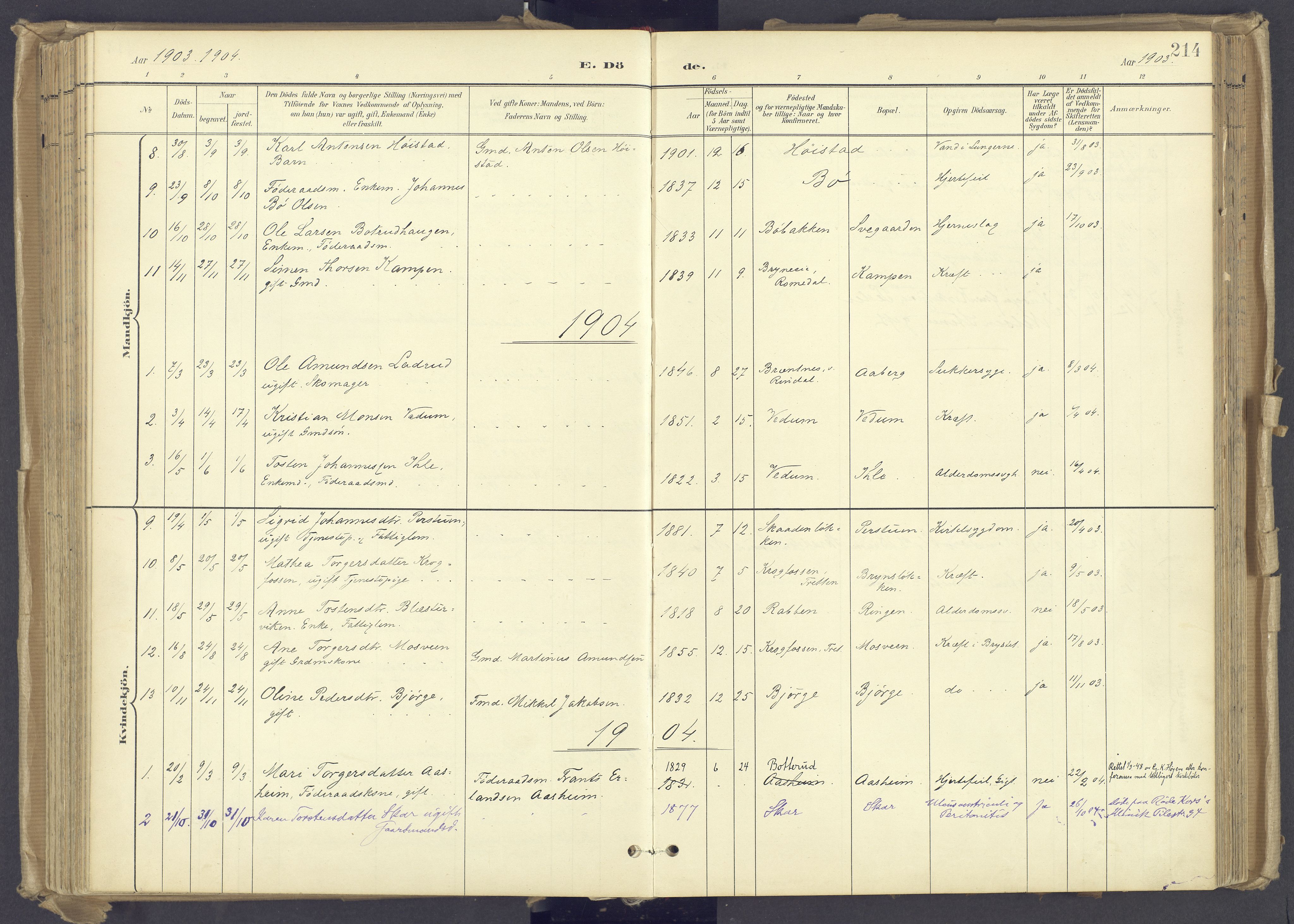 Øyer prestekontor, AV/SAH-PREST-084/H/Ha/Haa/L0012: Parish register (official) no. 12, 1897-1920, p. 214