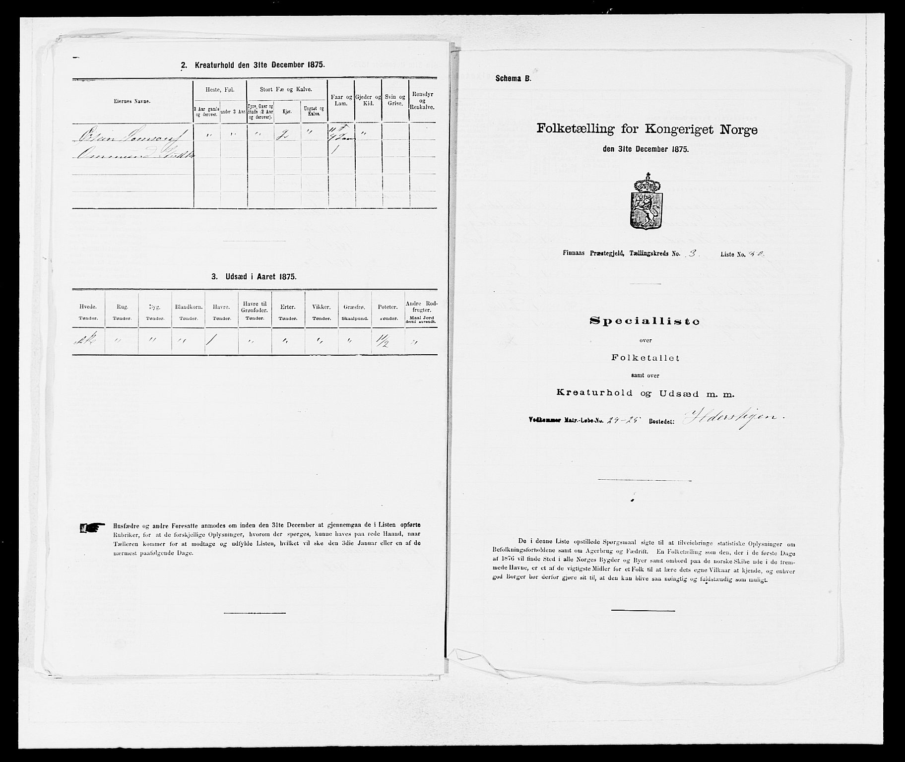 SAB, 1875 census for 1218P Finnås, 1875, p. 520