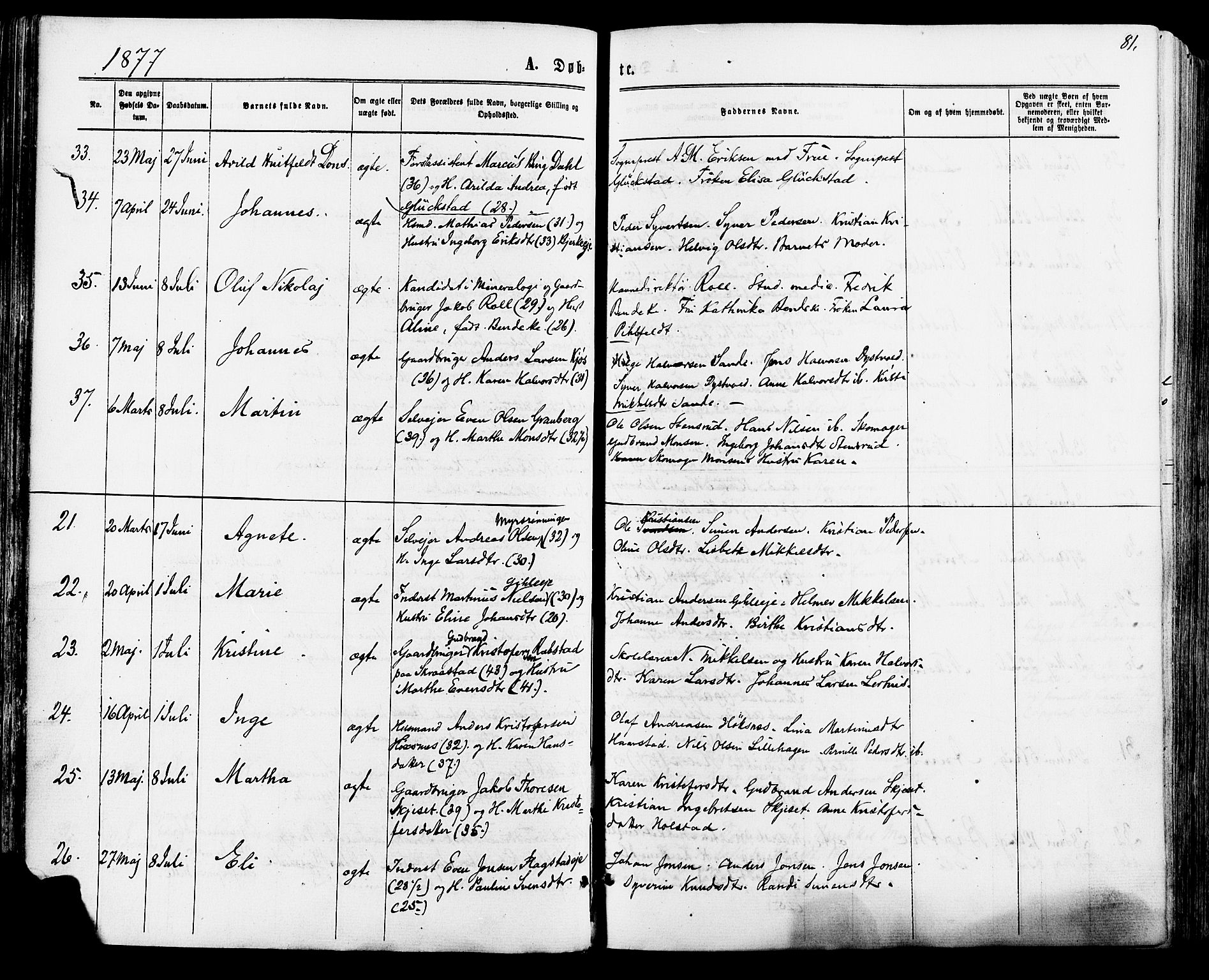 Vang prestekontor, Hedmark, AV/SAH-PREST-008/H/Ha/Haa/L0015: Parish register (official) no. 15, 1871-1885, p. 81