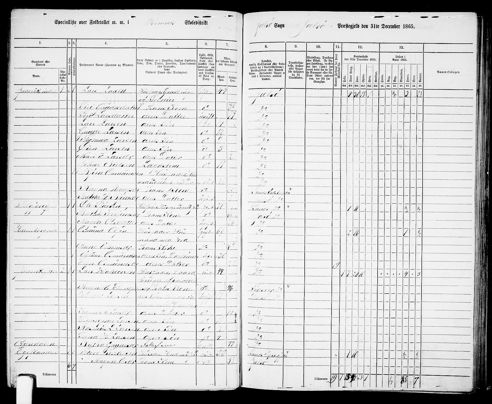 RA, 1865 census for Jelsa, 1865, p. 44