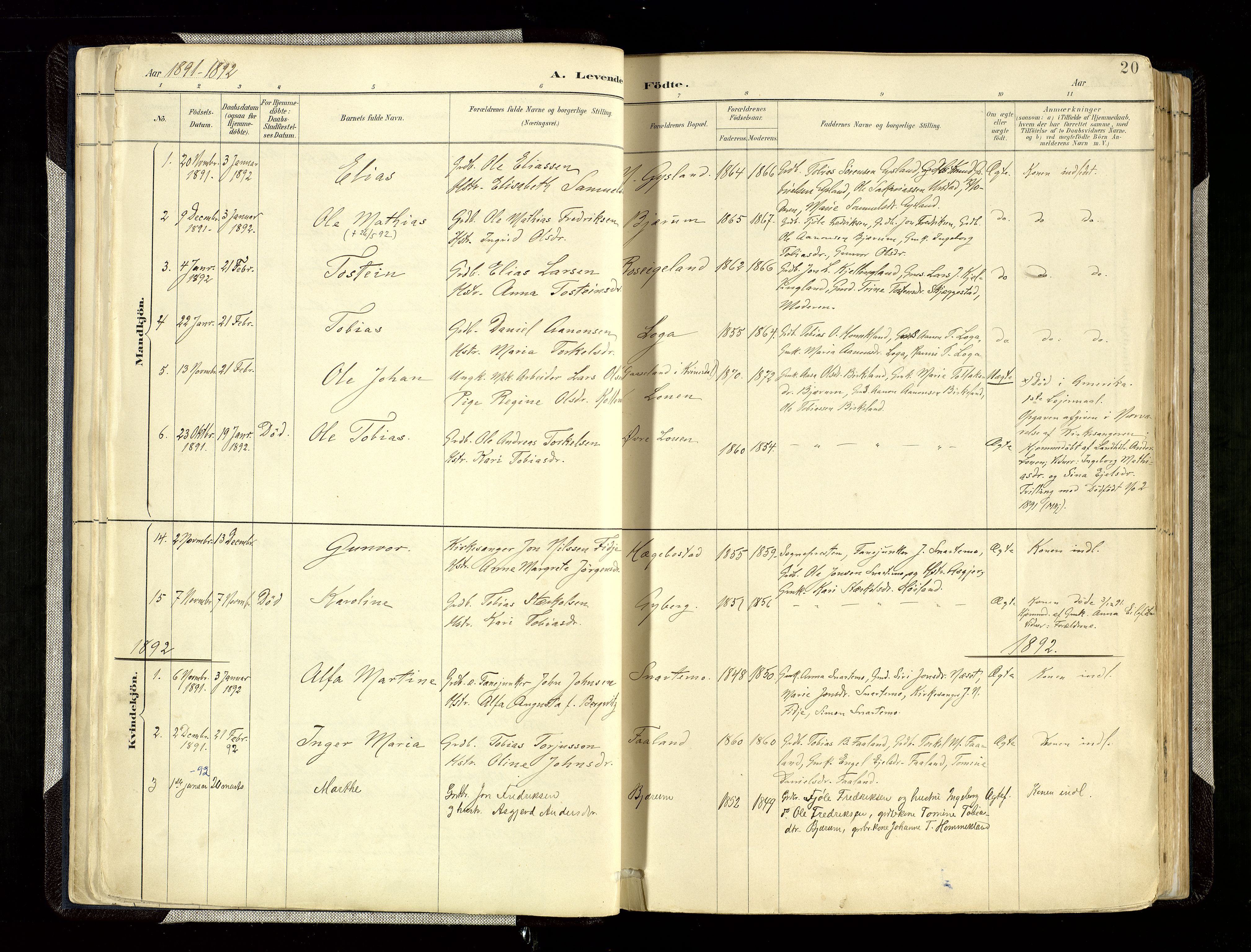 Hægebostad sokneprestkontor, AV/SAK-1111-0024/F/Fa/Faa/L0006: Parish register (official) no. A 6, 1887-1929, p. 20