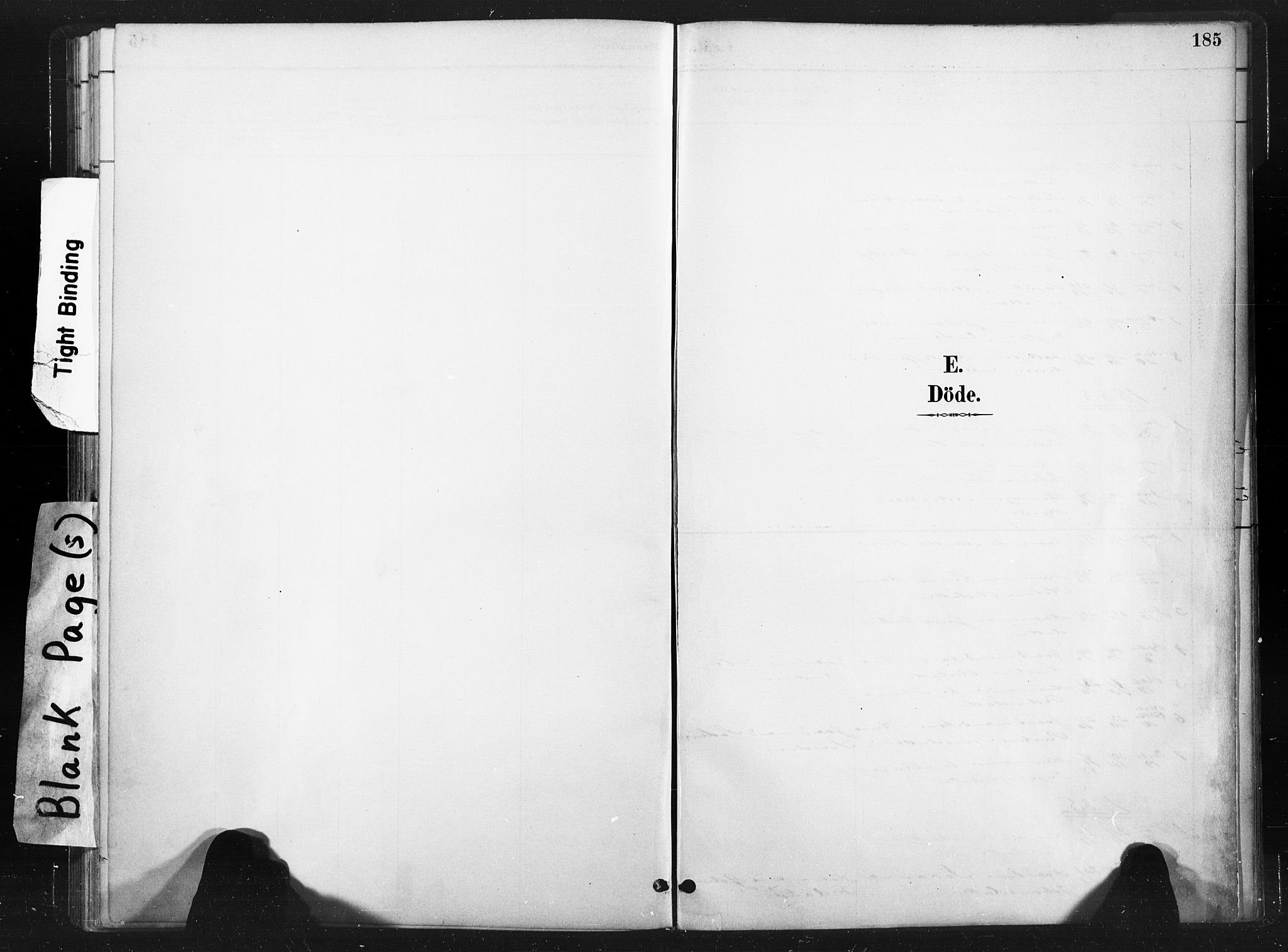 Ministerialprotokoller, klokkerbøker og fødselsregistre - Nord-Trøndelag, SAT/A-1458/736/L0361: Parish register (official) no. 736A01, 1884-1906, p. 185