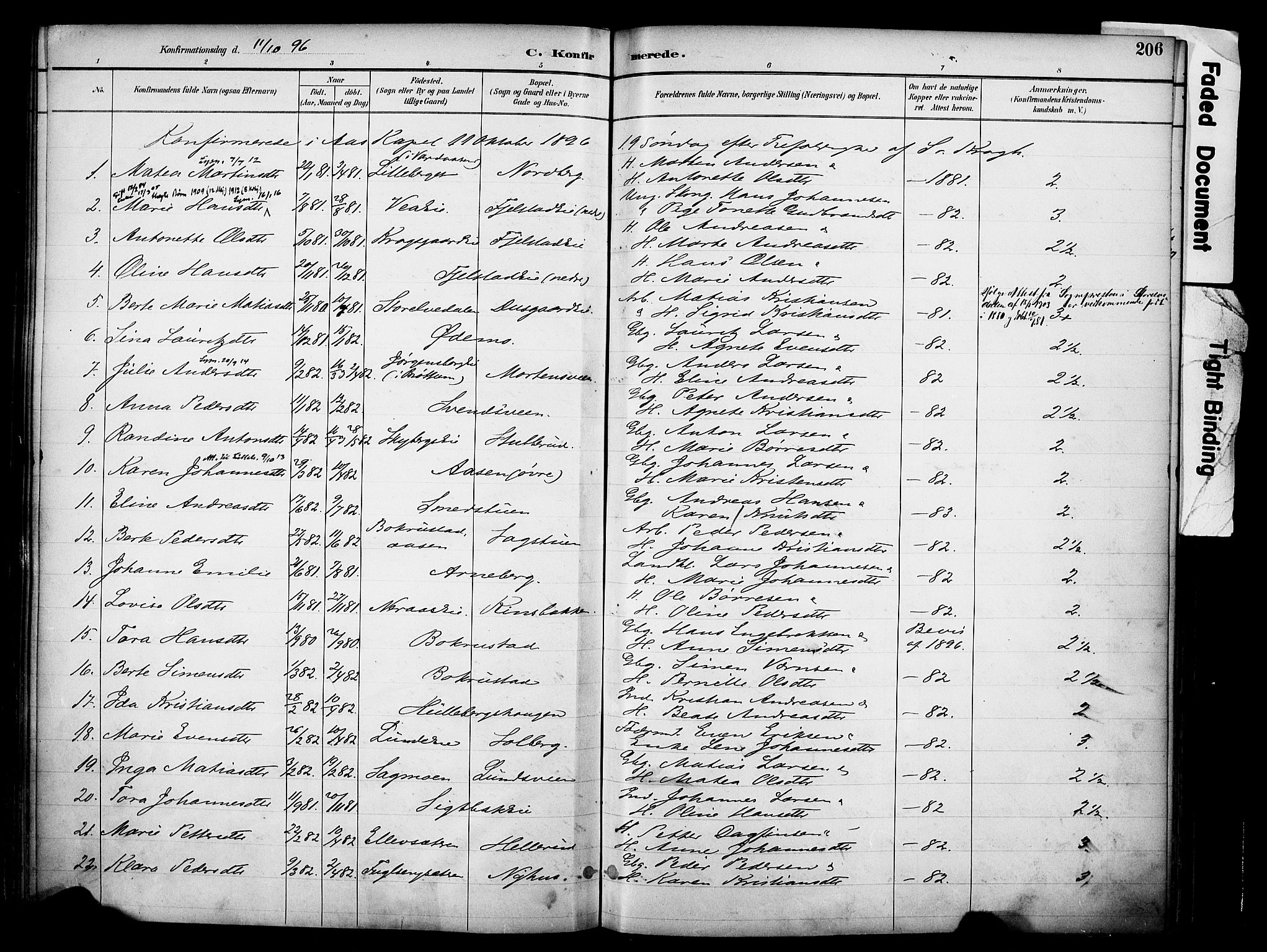 Ringsaker prestekontor, AV/SAH-PREST-014/K/Ka/L0017: Parish register (official) no. 17, 1891-1902, p. 206