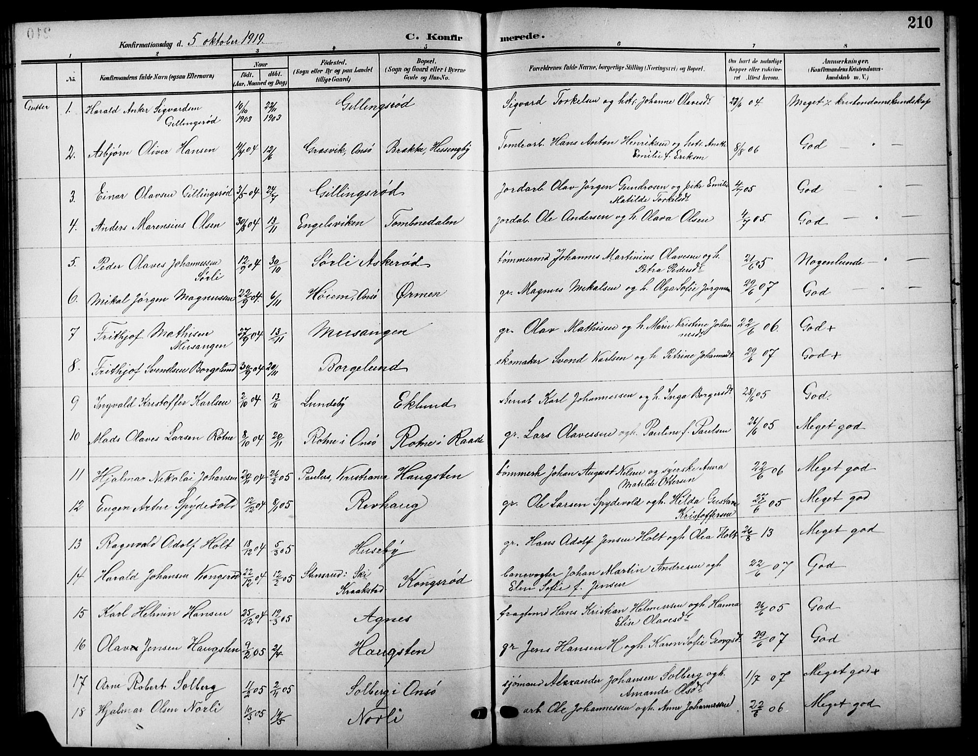 Råde prestekontor kirkebøker, AV/SAO-A-2009/G/Ga/L0001: Parish register (copy) no. 1, 1903-1925, p. 210