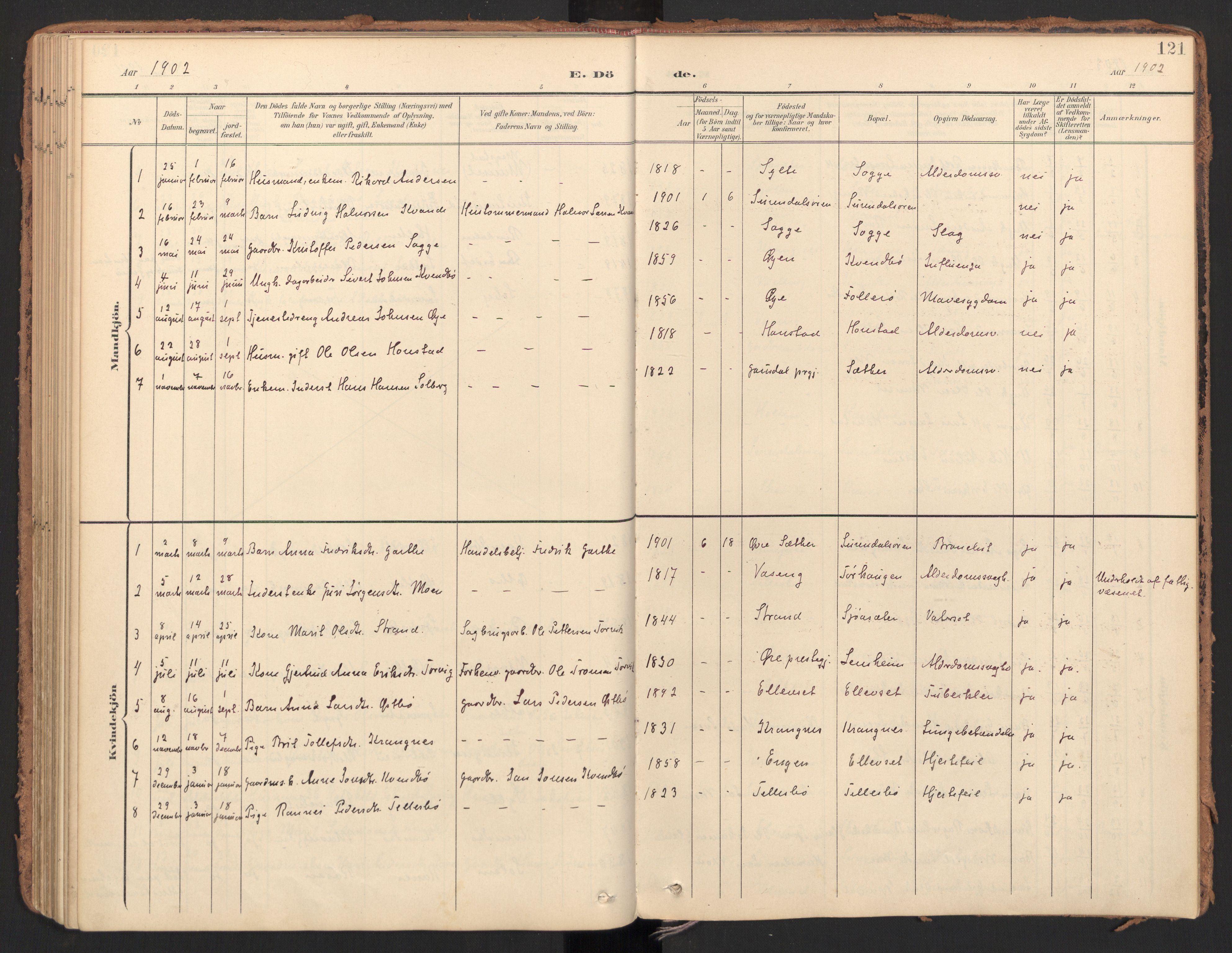 Ministerialprotokoller, klokkerbøker og fødselsregistre - Møre og Romsdal, AV/SAT-A-1454/596/L1057: Parish register (official) no. 596A02, 1900-1917, p. 121