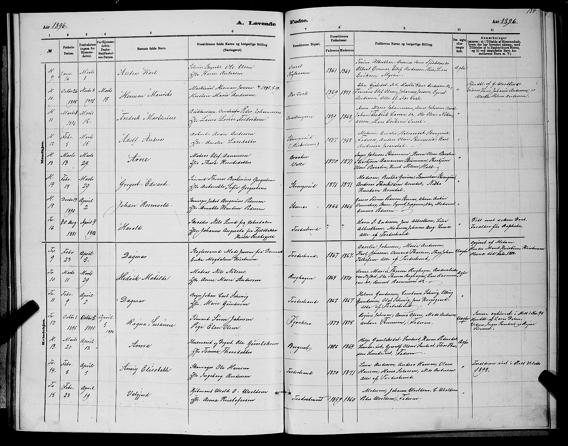 Holt sokneprestkontor, AV/SAK-1111-0021/F/Fb/L0010: Parish register (copy) no. B 10, 1883-1896, p. 134