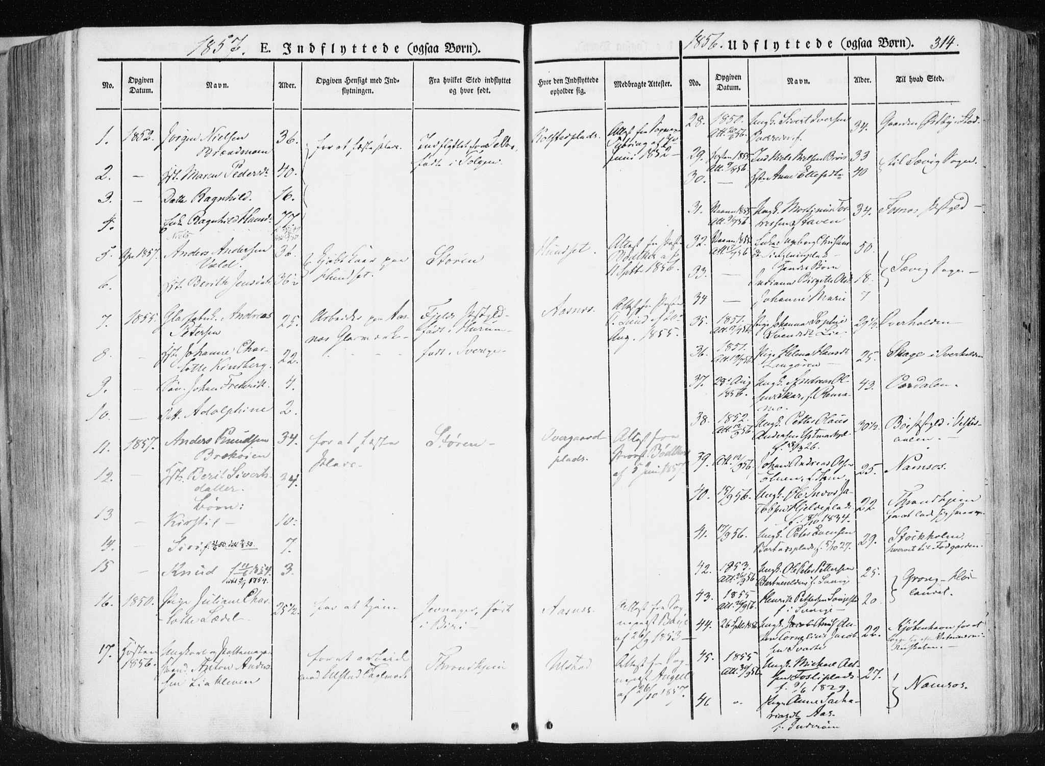 Ministerialprotokoller, klokkerbøker og fødselsregistre - Nord-Trøndelag, SAT/A-1458/741/L0393: Parish register (official) no. 741A07, 1849-1863, p. 314