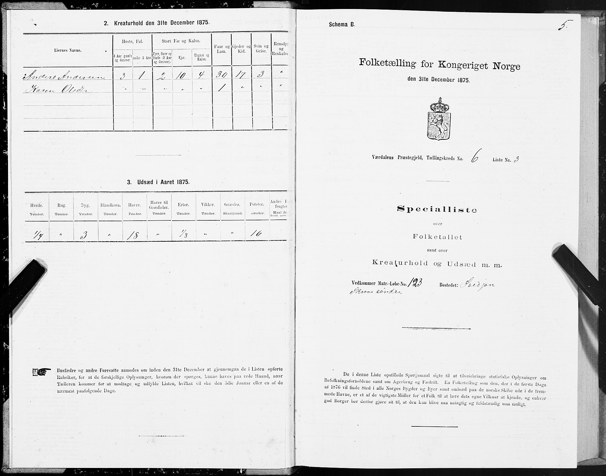 SAT, 1875 census for 1721P Verdal, 1875, p. 4005