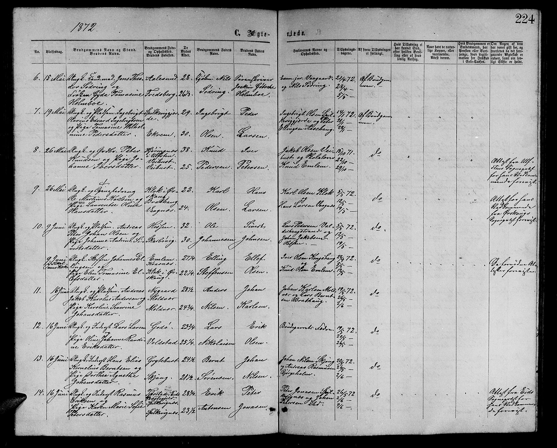 Ministerialprotokoller, klokkerbøker og fødselsregistre - Møre og Romsdal, AV/SAT-A-1454/528/L0428: Parish register (copy) no. 528C09, 1864-1880, p. 224