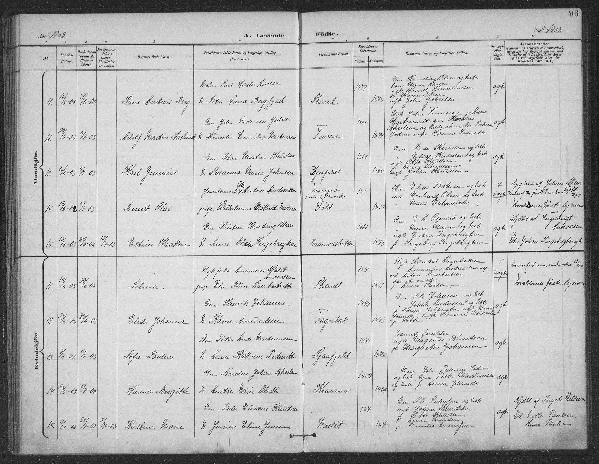 Ministerialprotokoller, klokkerbøker og fødselsregistre - Nordland, AV/SAT-A-1459/863/L0899: Parish register (official) no. 863A11, 1897-1906, p. 96