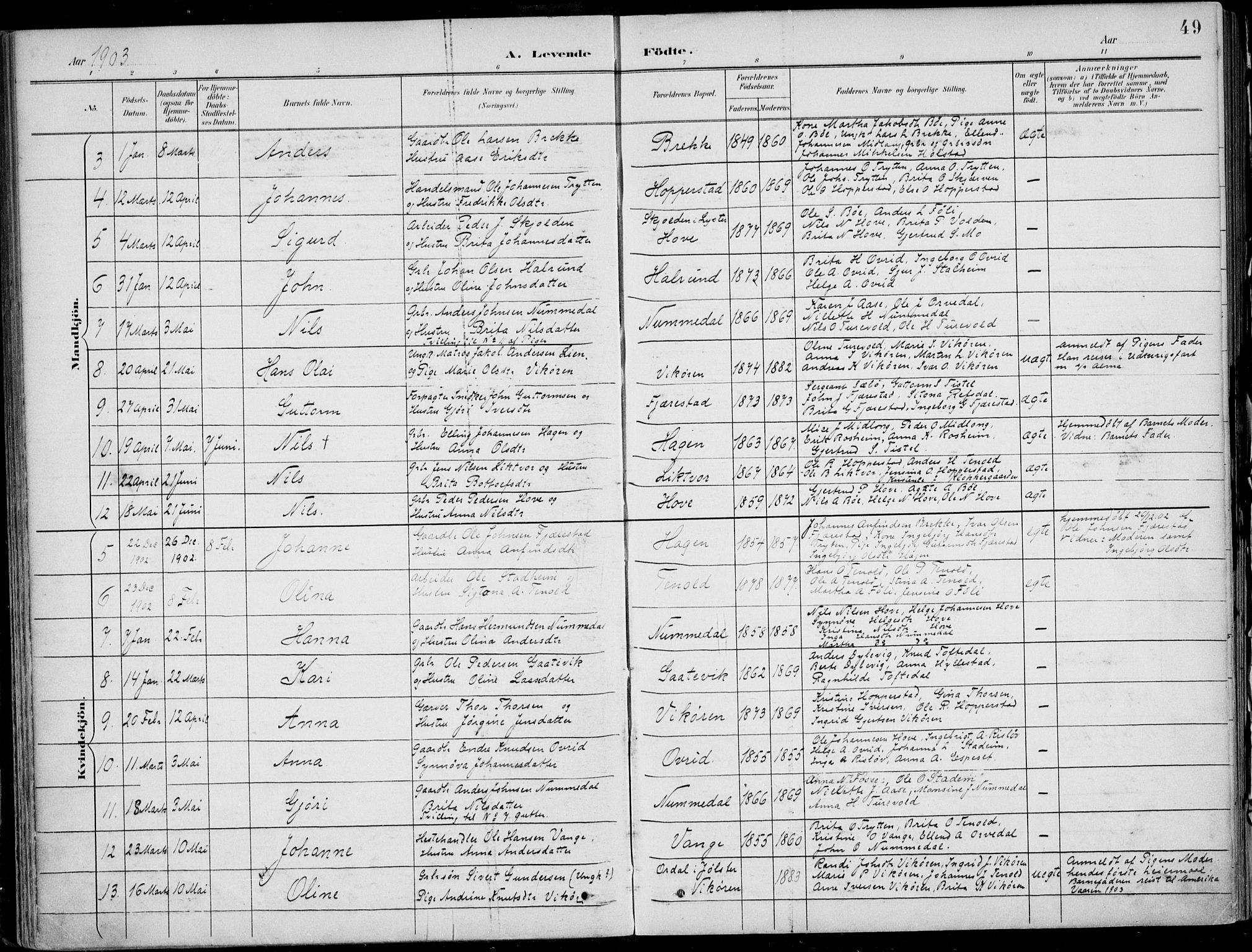 Vik sokneprestembete, AV/SAB-A-81501/H/Haa/Haab/L0002: Parish register (official) no. B  2, 1891-1907, p. 49