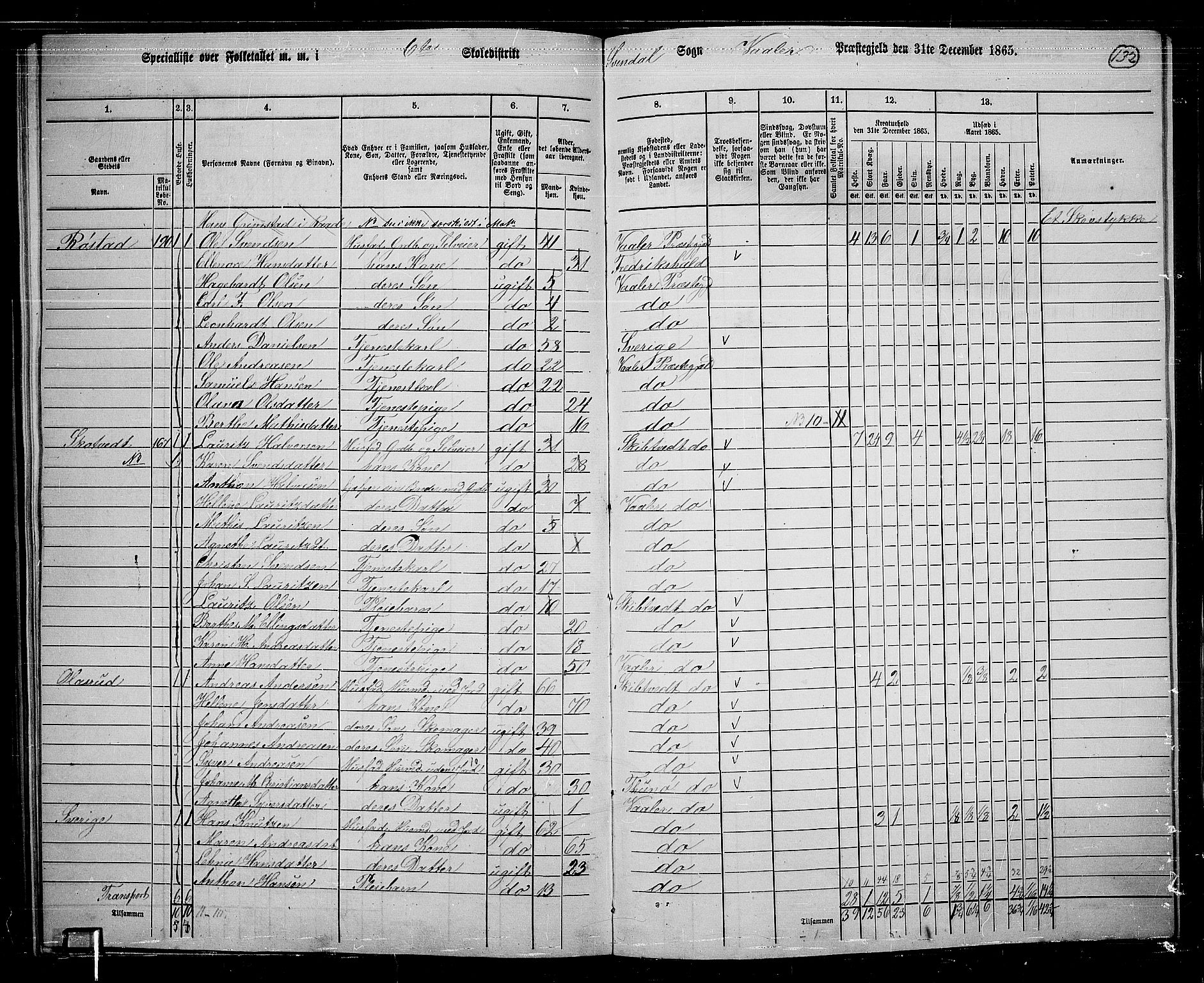 RA, 1865 census for Våler, 1865, p. 114