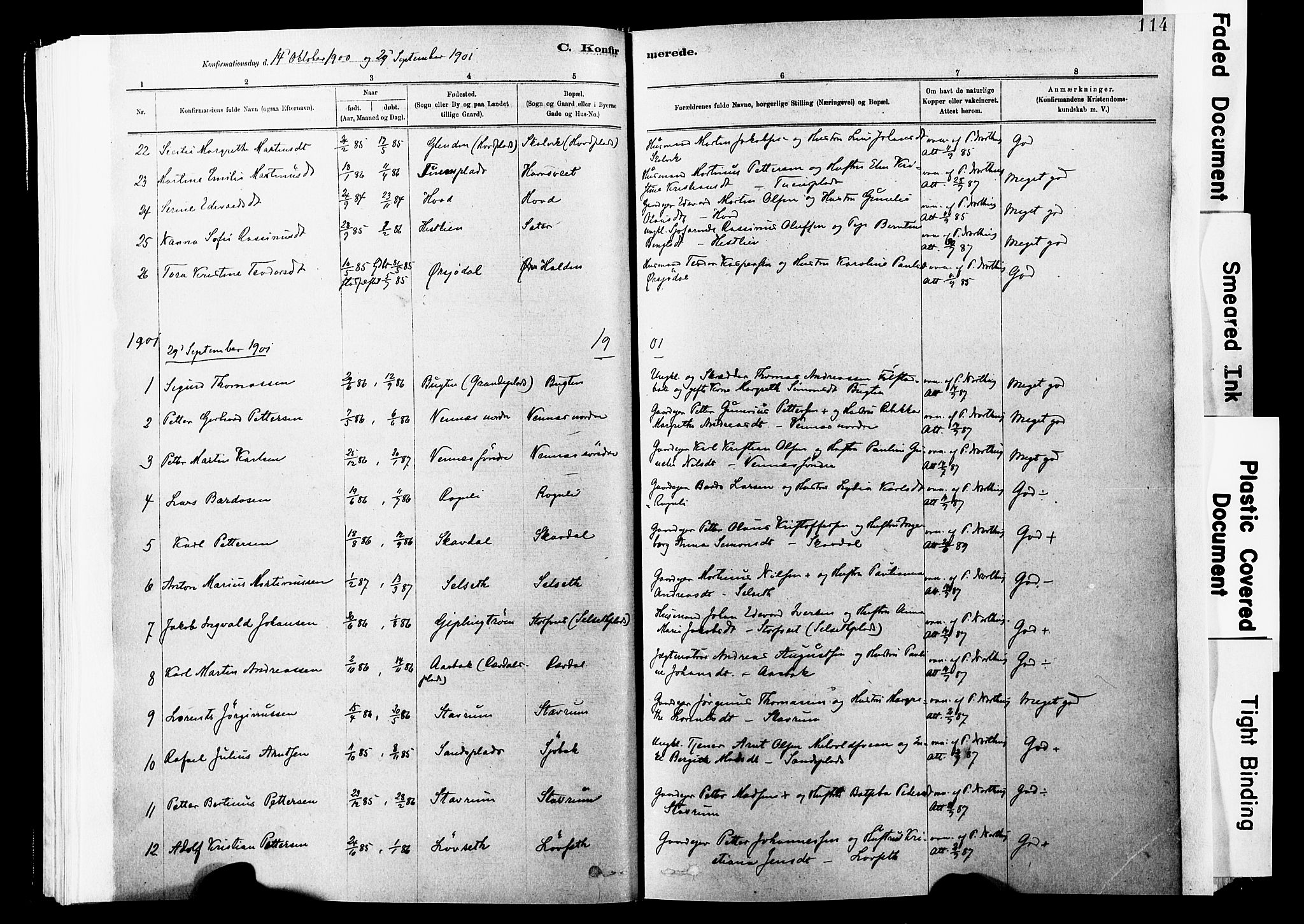 Ministerialprotokoller, klokkerbøker og fødselsregistre - Nord-Trøndelag, AV/SAT-A-1458/744/L0420: Parish register (official) no. 744A04, 1882-1904, p. 114