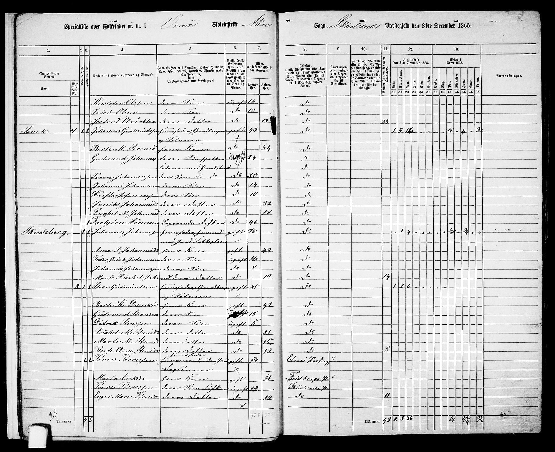 RA, 1865 census for Skudenes, 1865, p. 16