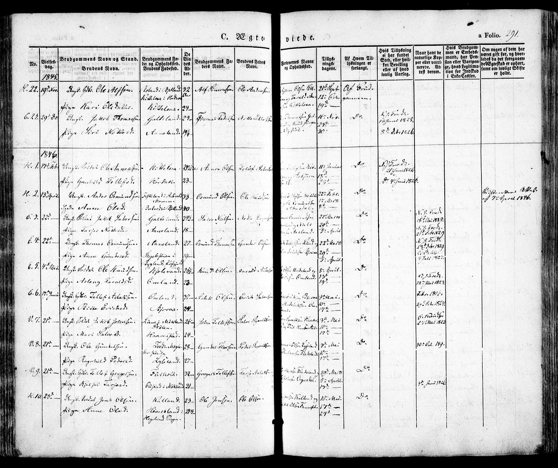 Evje sokneprestkontor, SAK/1111-0008/F/Fa/Faa/L0005: Parish register (official) no. A 5, 1843-1865, p. 291