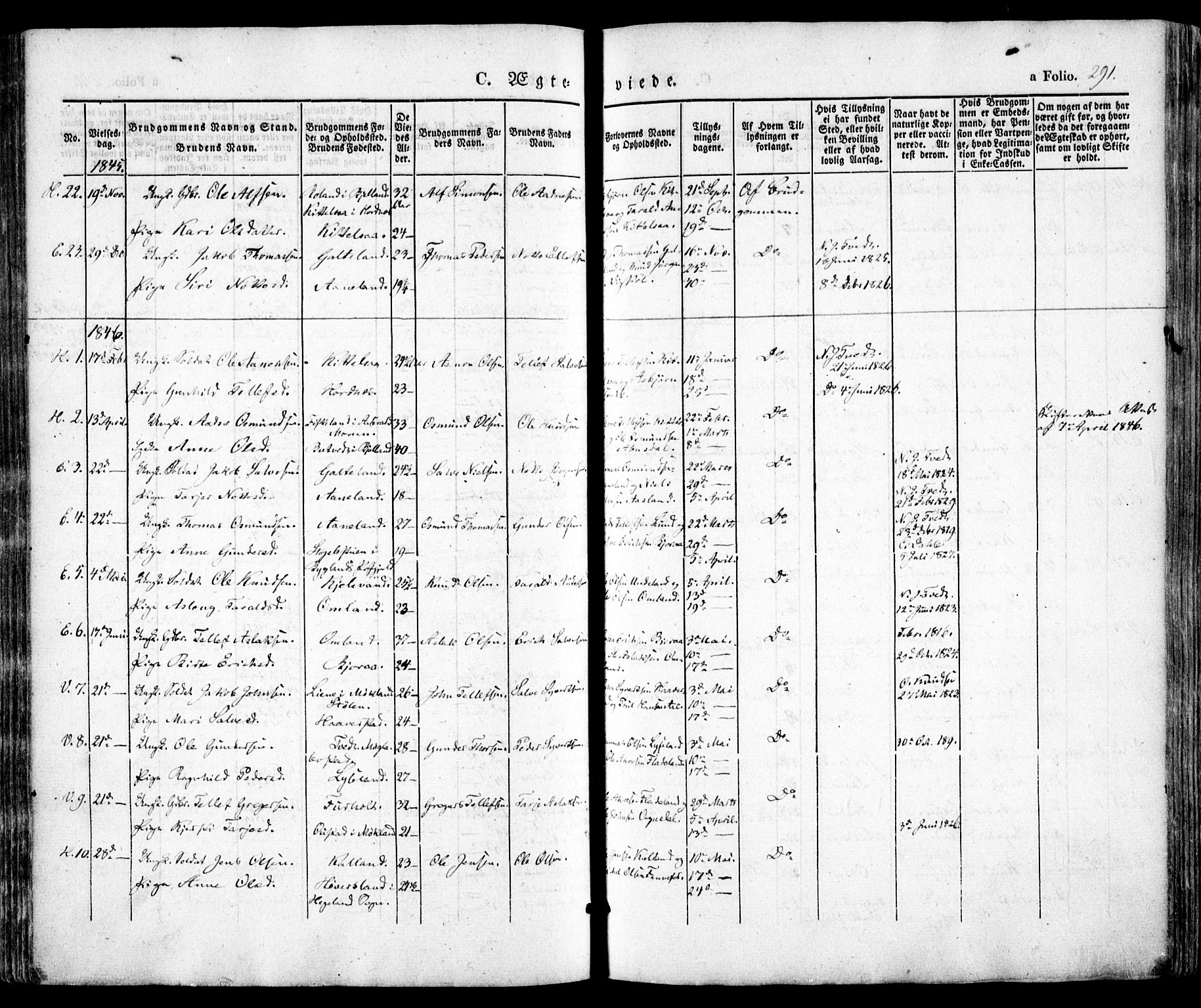 Evje sokneprestkontor, AV/SAK-1111-0008/F/Fa/Faa/L0005: Parish register (official) no. A 5, 1843-1865, p. 291