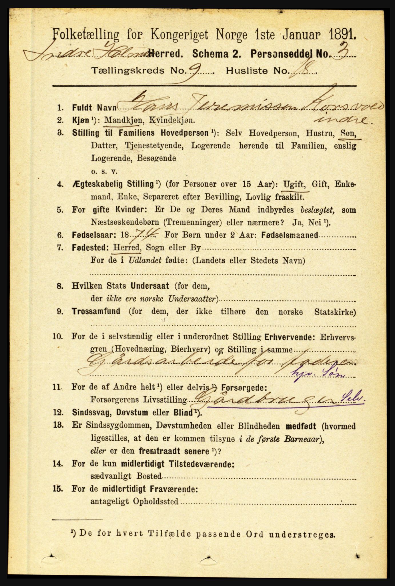 RA, 1891 census for 1430 Indre Holmedal, 1891, p. 4166