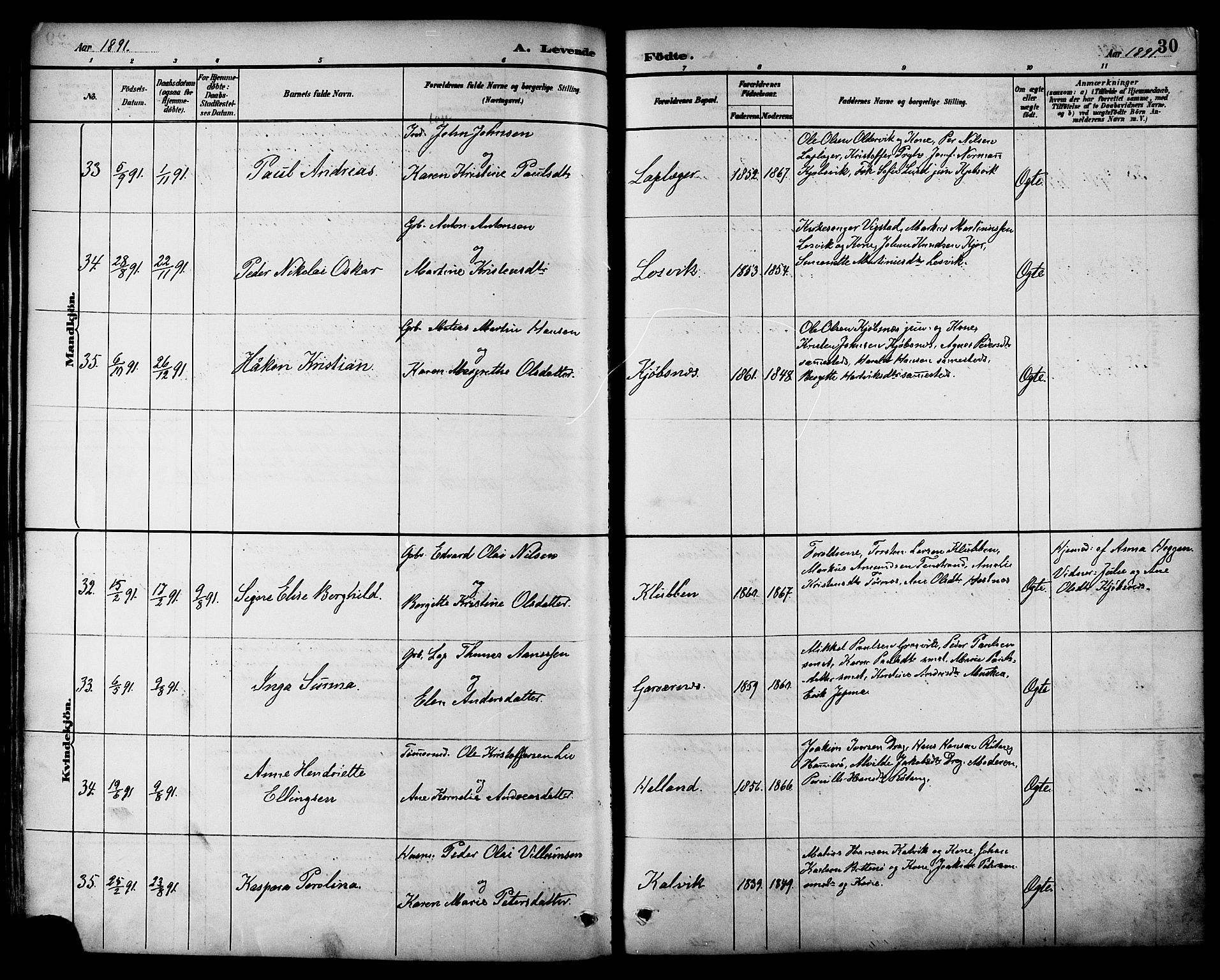 Ministerialprotokoller, klokkerbøker og fødselsregistre - Nordland, AV/SAT-A-1459/861/L0869: Parish register (official) no. 861A04, 1889-1903, p. 30