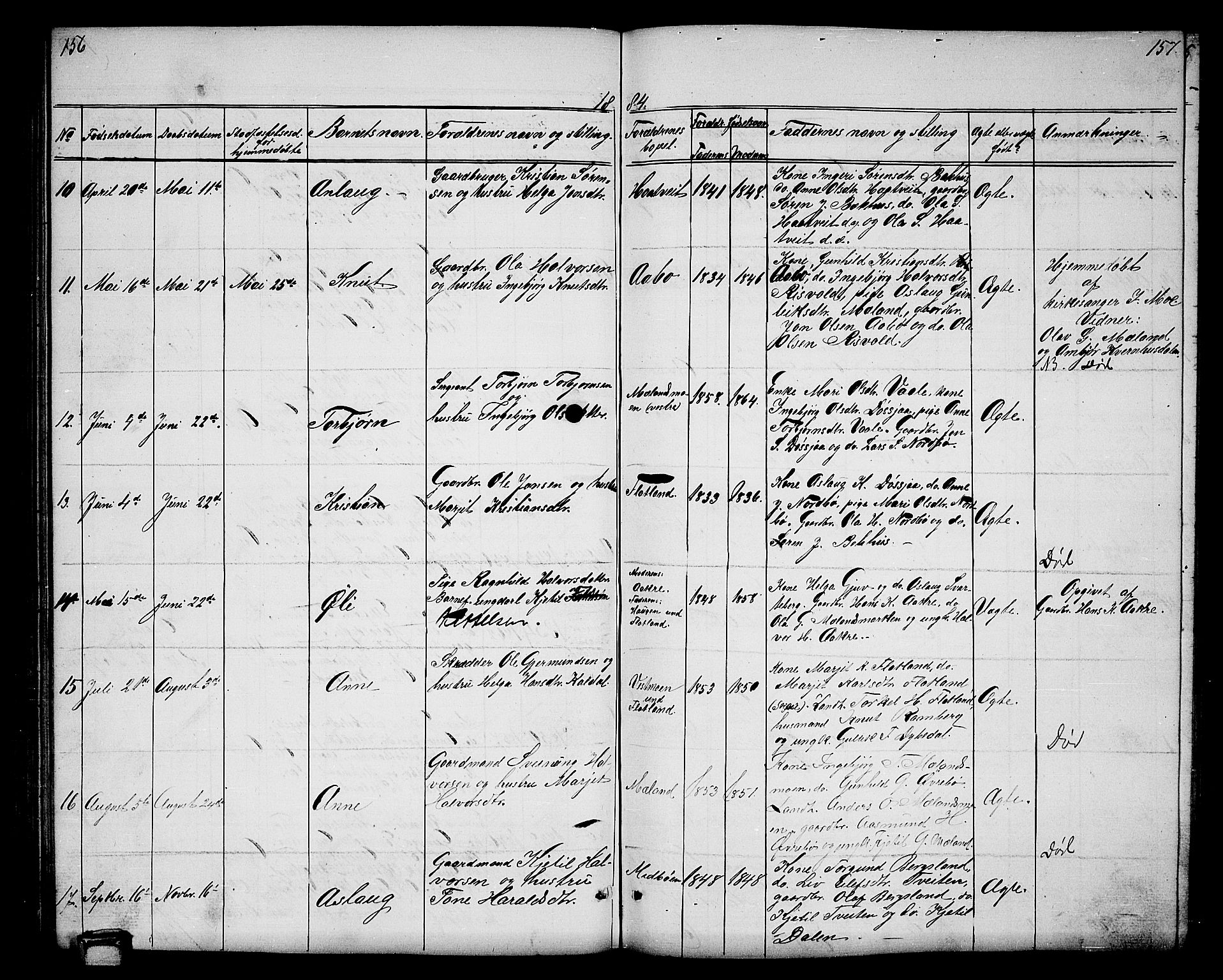 Hjartdal kirkebøker, AV/SAKO-A-270/G/Ga/L0002: Parish register (copy) no. I 2, 1854-1888, p. 156-157