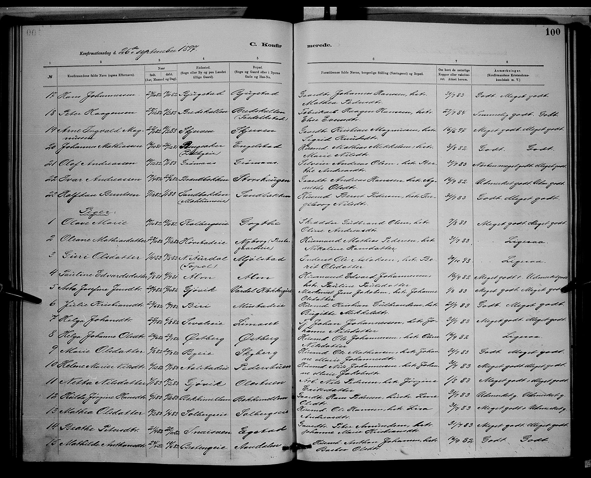 Vardal prestekontor, SAH/PREST-100/H/Ha/Hab/L0008: Parish register (copy) no. 8, 1881-1898, p. 100