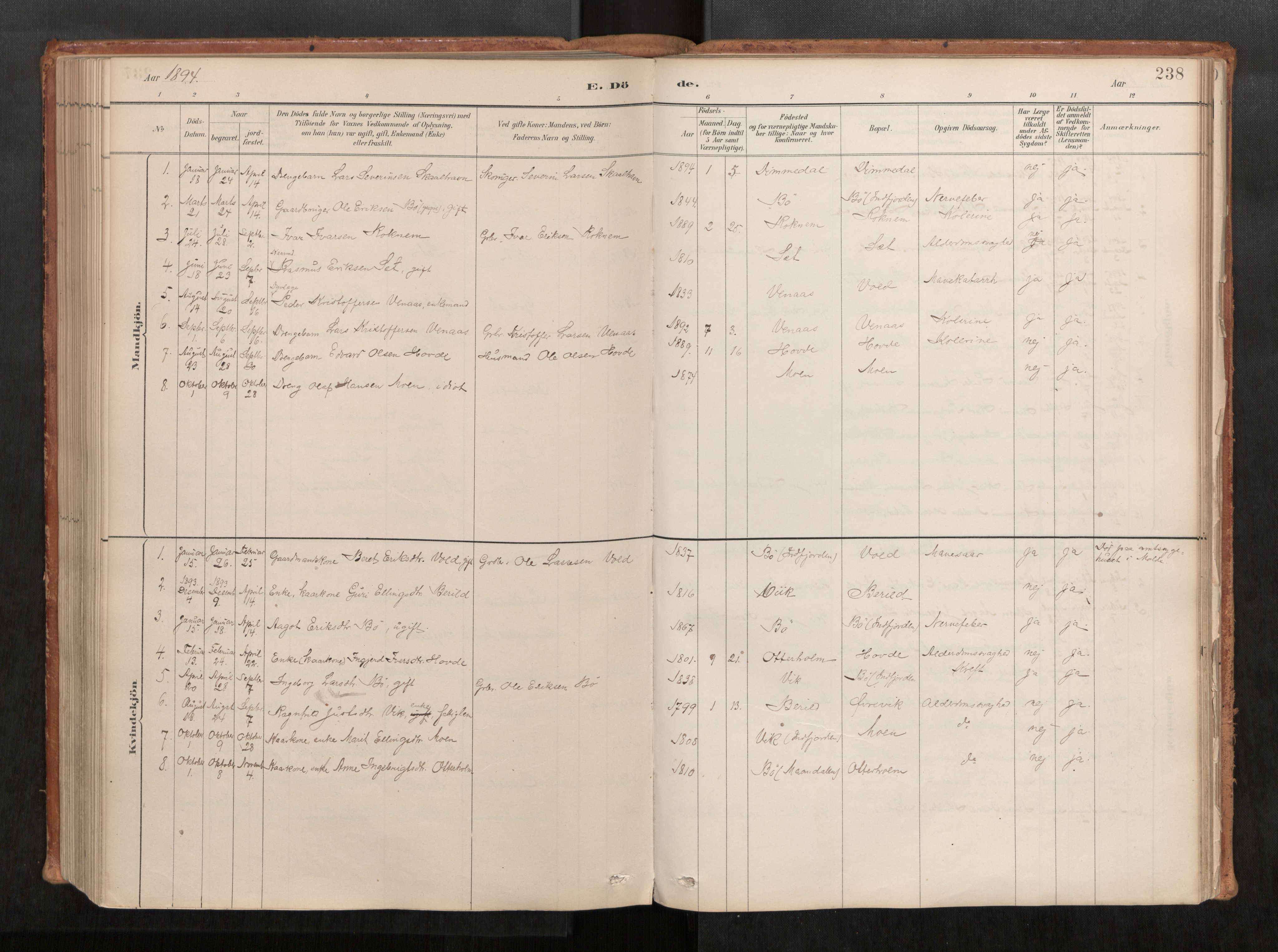 Ministerialprotokoller, klokkerbøker og fødselsregistre - Møre og Romsdal, AV/SAT-A-1454/543/L0568: Parish register (official) no. 543A03, 1885-1915, p. 238