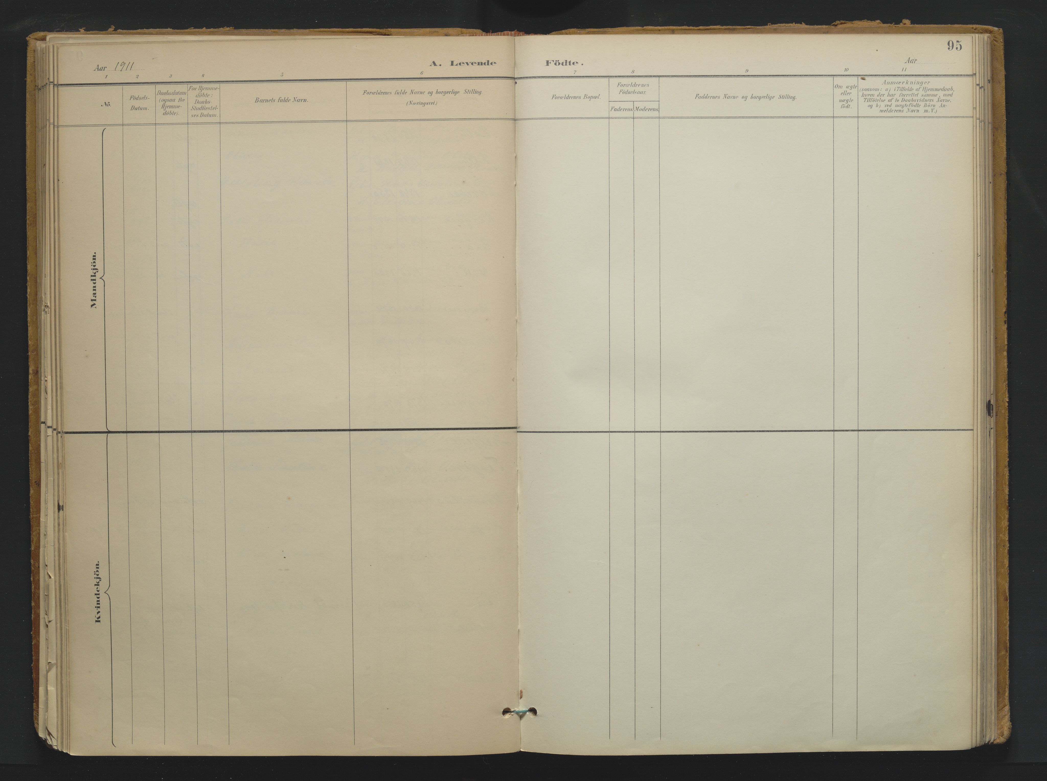 Drangedal kirkebøker, SAKO/A-258/F/Fa/L0013: Parish register (official) no. 13, 1895-1919, p. 95
