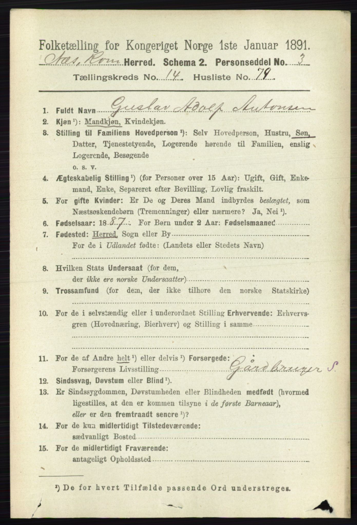 RA, 1891 census for 0236 Nes, 1891, p. 8919