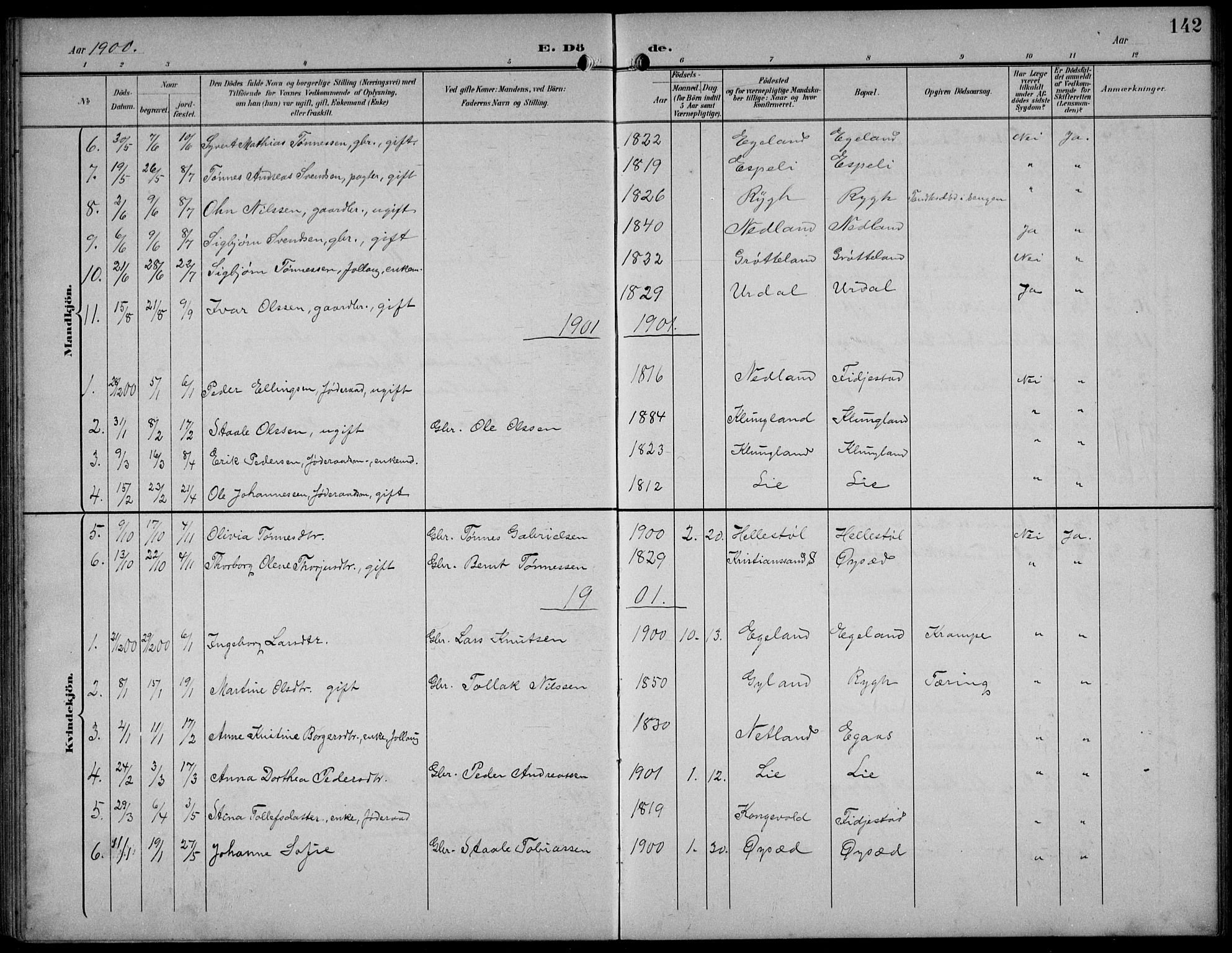 Bakke sokneprestkontor, SAK/1111-0002/F/Fb/Fbb/L0004: Parish register (copy) no. B 4, 1896-1927, p. 142