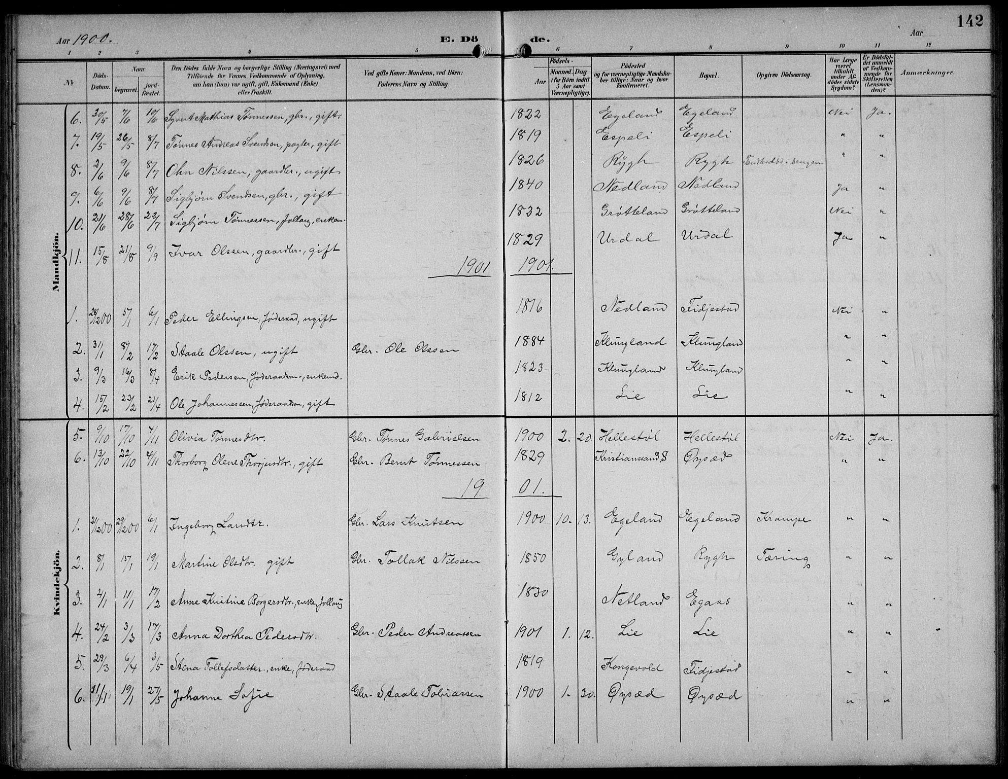 Bakke sokneprestkontor, AV/SAK-1111-0002/F/Fb/Fbb/L0004: Parish register (copy) no. B 4, 1896-1927, p. 142