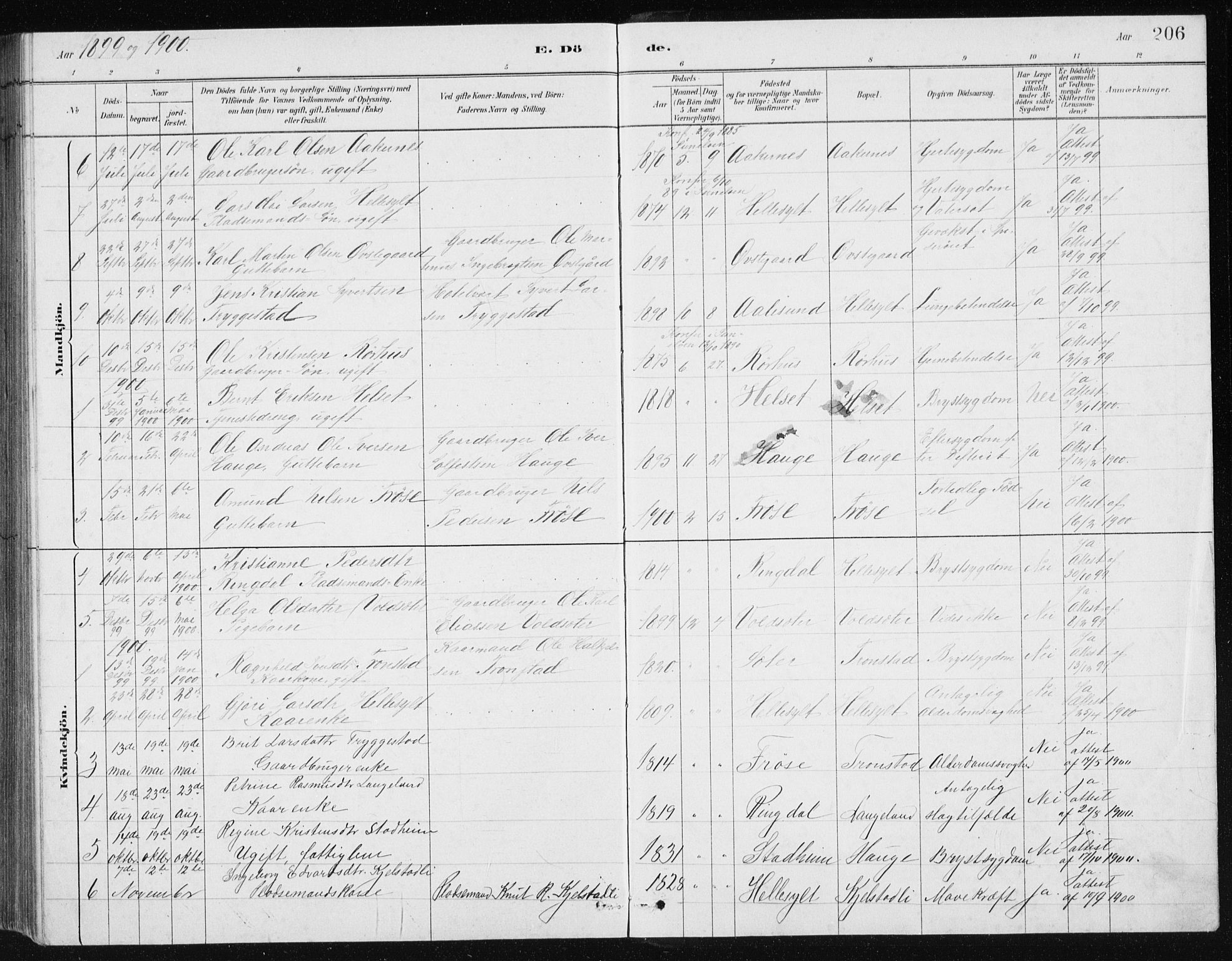Ministerialprotokoller, klokkerbøker og fødselsregistre - Møre og Romsdal, SAT/A-1454/517/L0230: Parish register (copy) no. 517C03, 1879-1912, p. 206