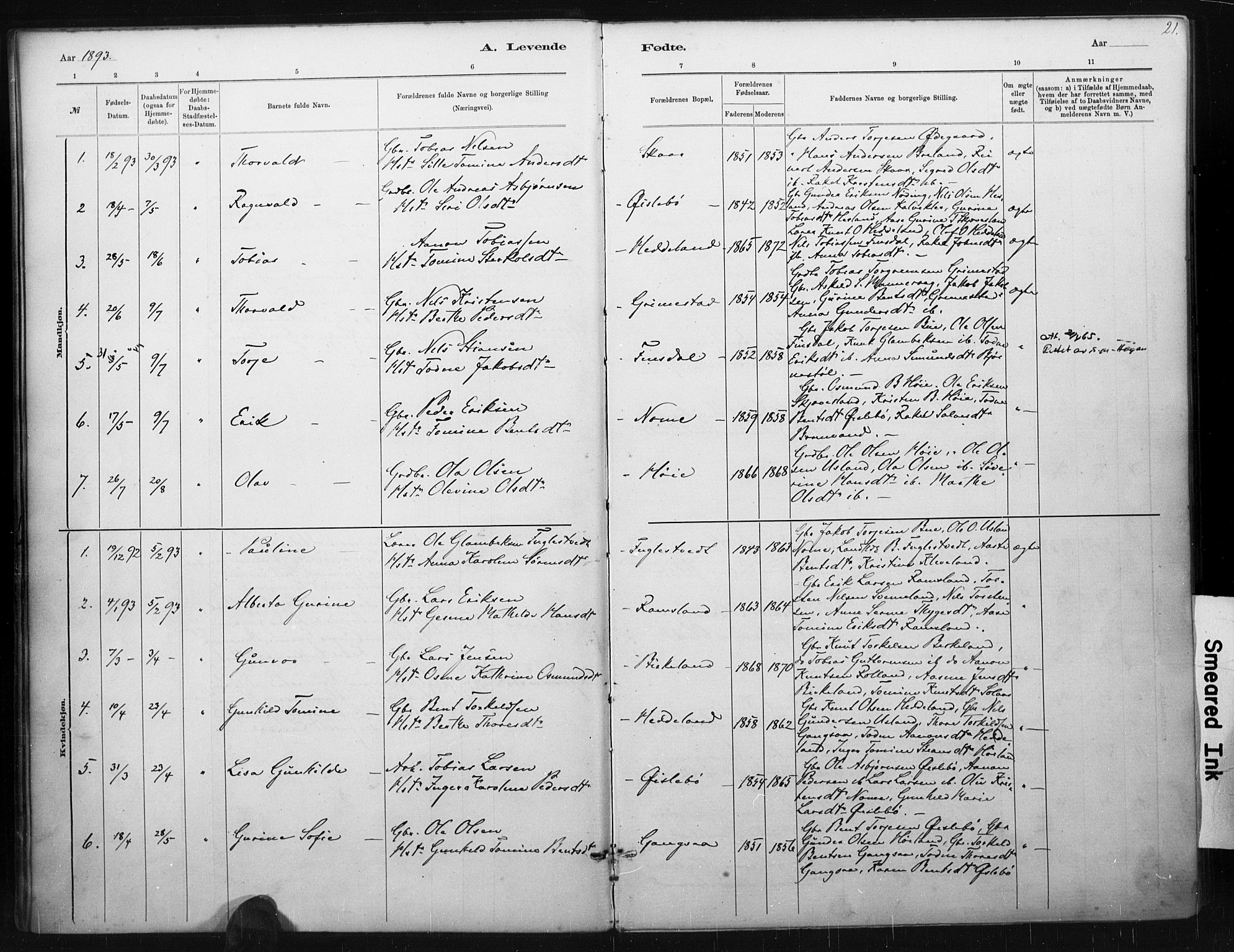 Holum sokneprestkontor, AV/SAK-1111-0022/F/Fa/Fac/L0004: Parish register (official) no. A 4, 1884-1907, p. 21