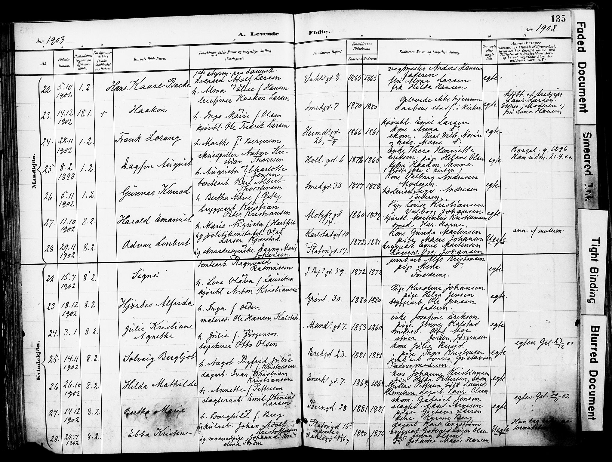Grønland prestekontor Kirkebøker, SAO/A-10848/F/Fa/L0014: Parish register (official) no. 14, 1900-1911, p. 135