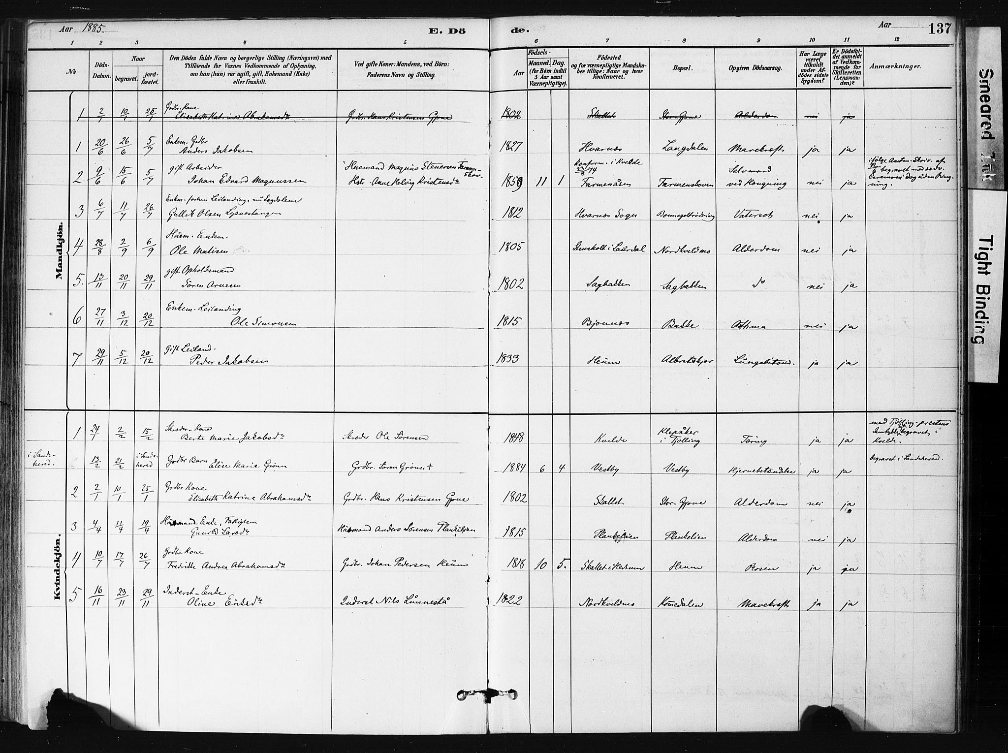 Hedrum kirkebøker, AV/SAKO-A-344/F/Fb/L0001: Parish register (official) no. II 1, 1881-1905, p. 137