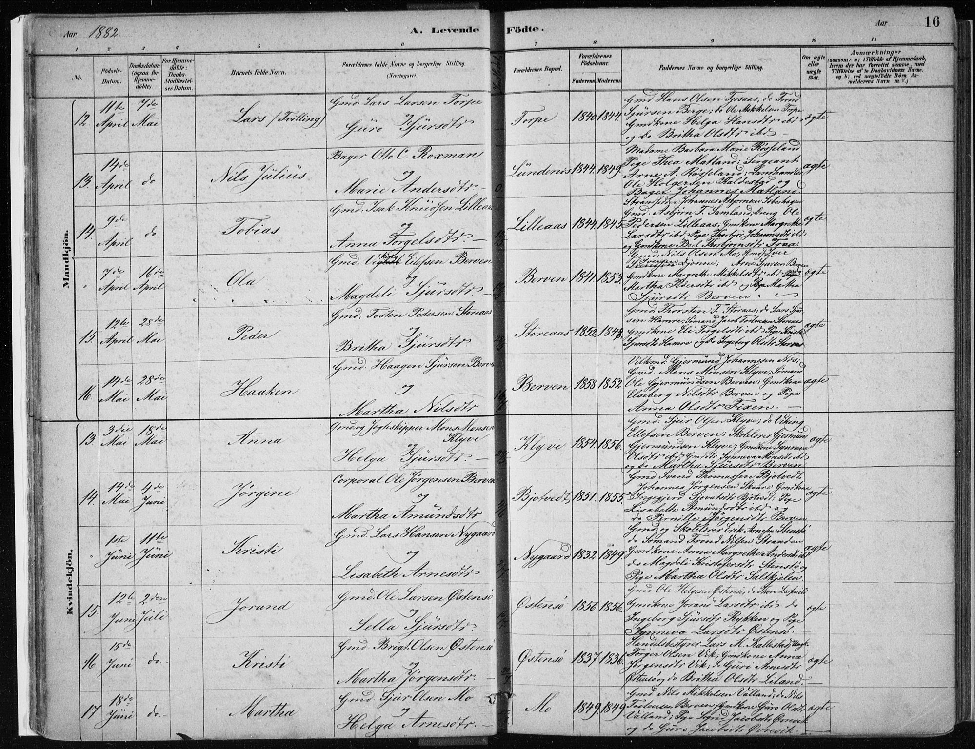 Kvam sokneprestembete, AV/SAB-A-76201/H/Haa: Parish register (official) no. C  1, 1880-1906, p. 16