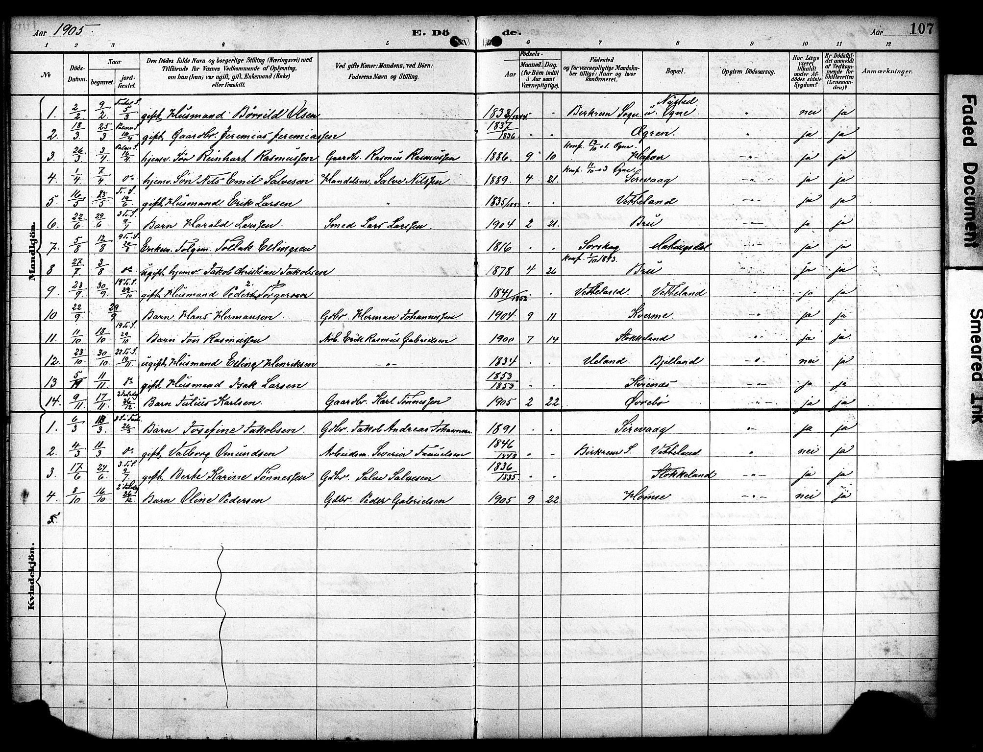 Eigersund sokneprestkontor, AV/SAST-A-101807/S08/L0020: Parish register (official) no. A 19, 1893-1910, p. 107