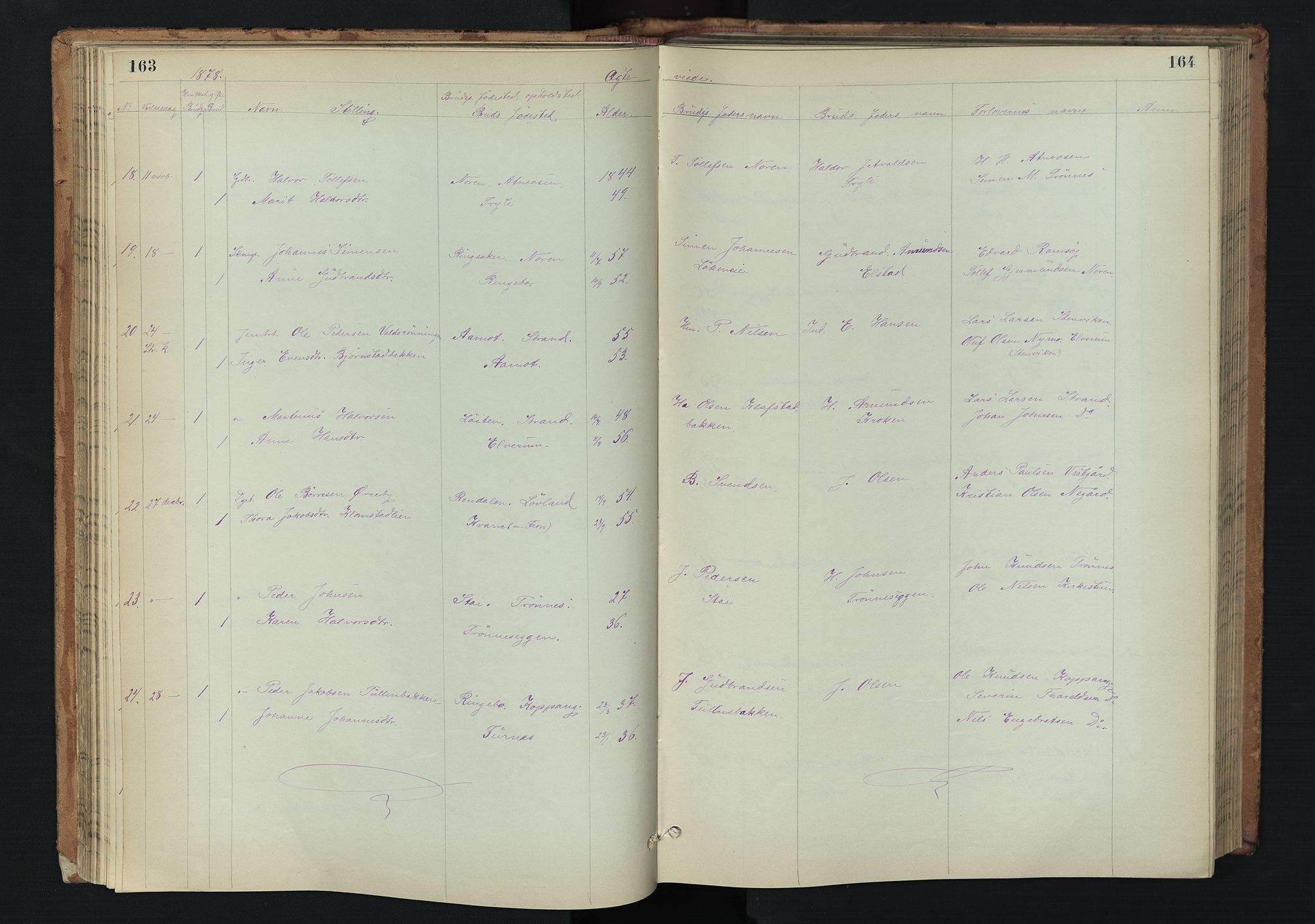 Stor-Elvdal prestekontor, SAH/PREST-052/H/Ha/Hab/L0002: Parish register (copy) no. 2, 1860-1894, p. 163-164