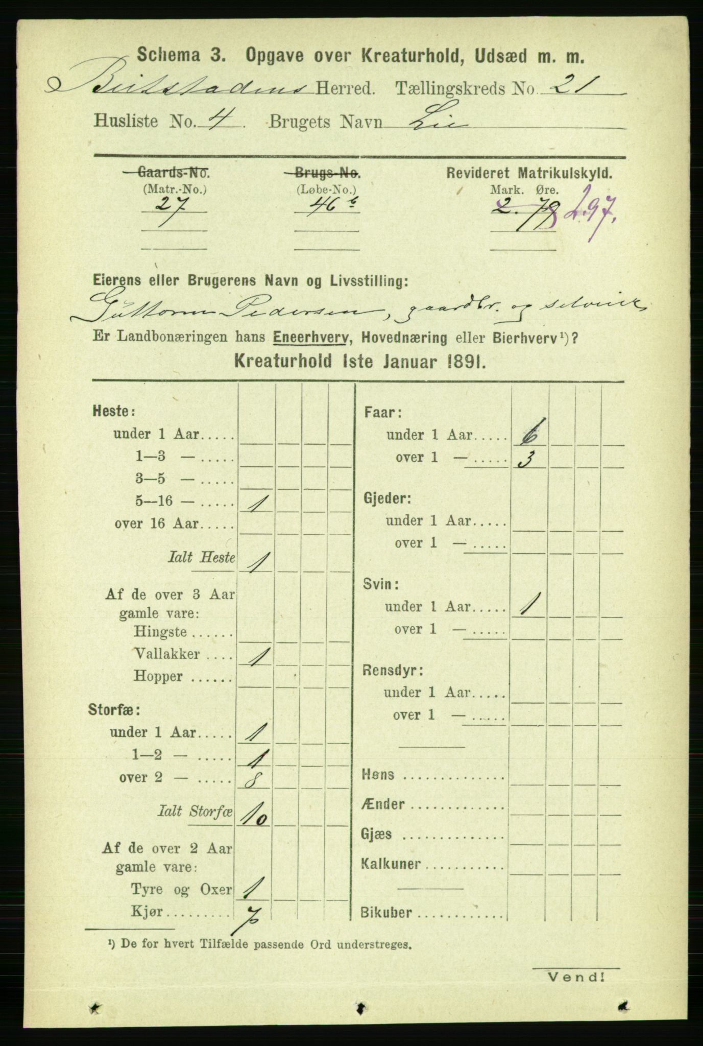 RA, 1891 census for 1727 Beitstad, 1891, p. 7007