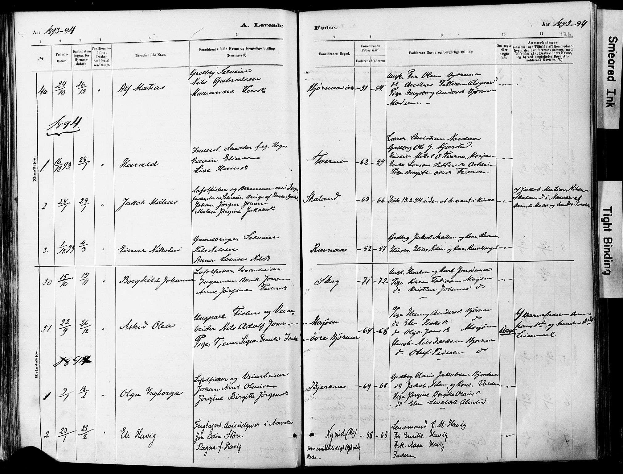 Ministerialprotokoller, klokkerbøker og fødselsregistre - Nordland, SAT/A-1459/820/L0295: Parish register (official) no. 820A16, 1880-1896, p. 126