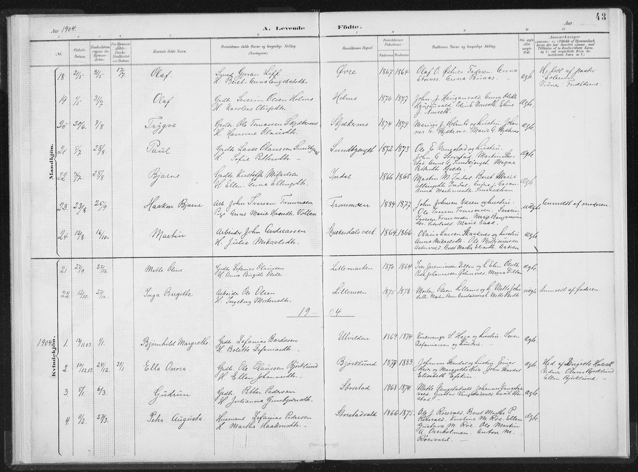 Ministerialprotokoller, klokkerbøker og fødselsregistre - Nord-Trøndelag, SAT/A-1458/724/L0263: Parish register (official) no. 724A01, 1891-1907, p. 43