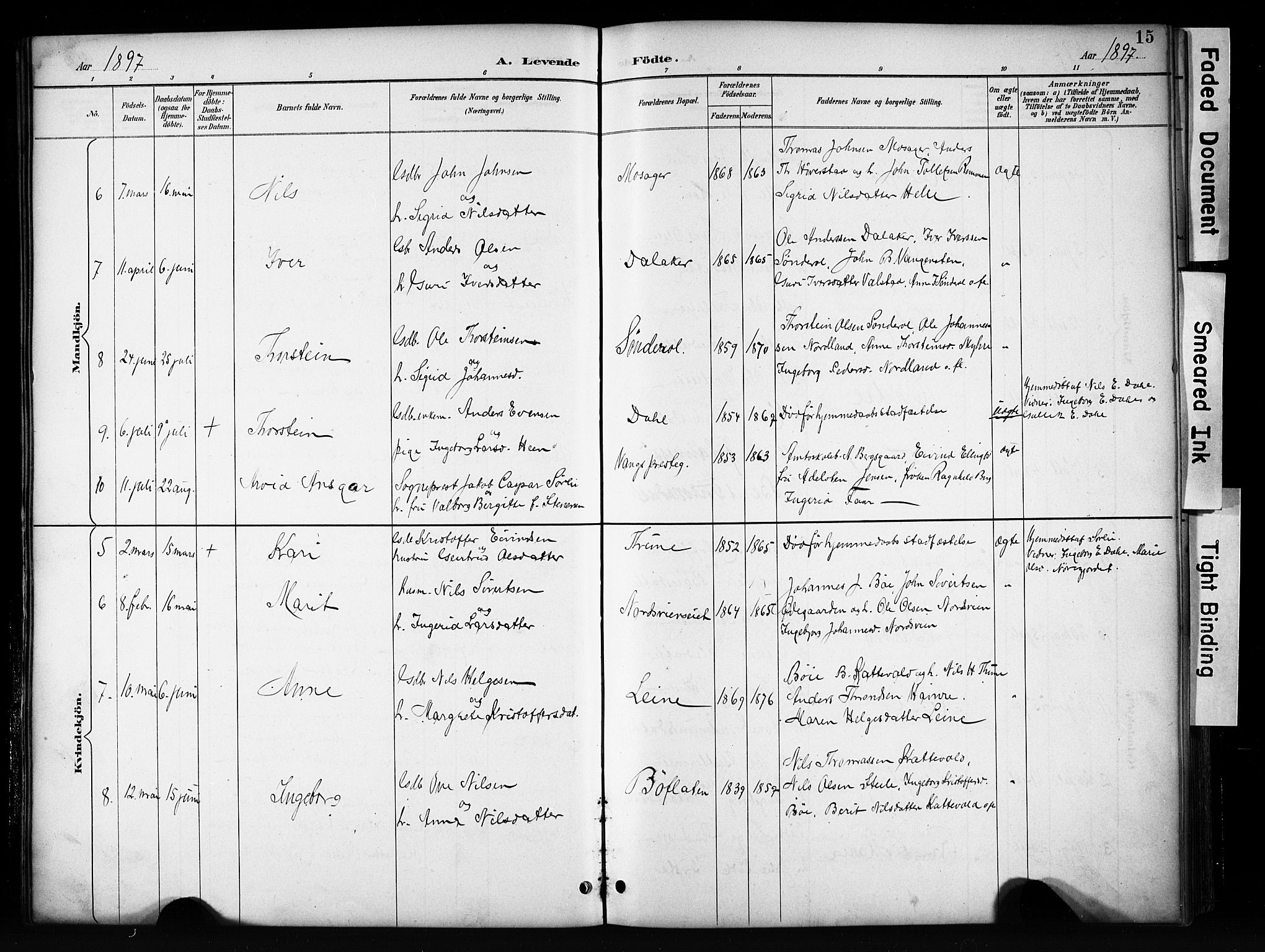 Vang prestekontor, Valdres, SAH/PREST-140/H/Hb/L0006: Parish register (copy) no. 6, 1893-1918, p. 15
