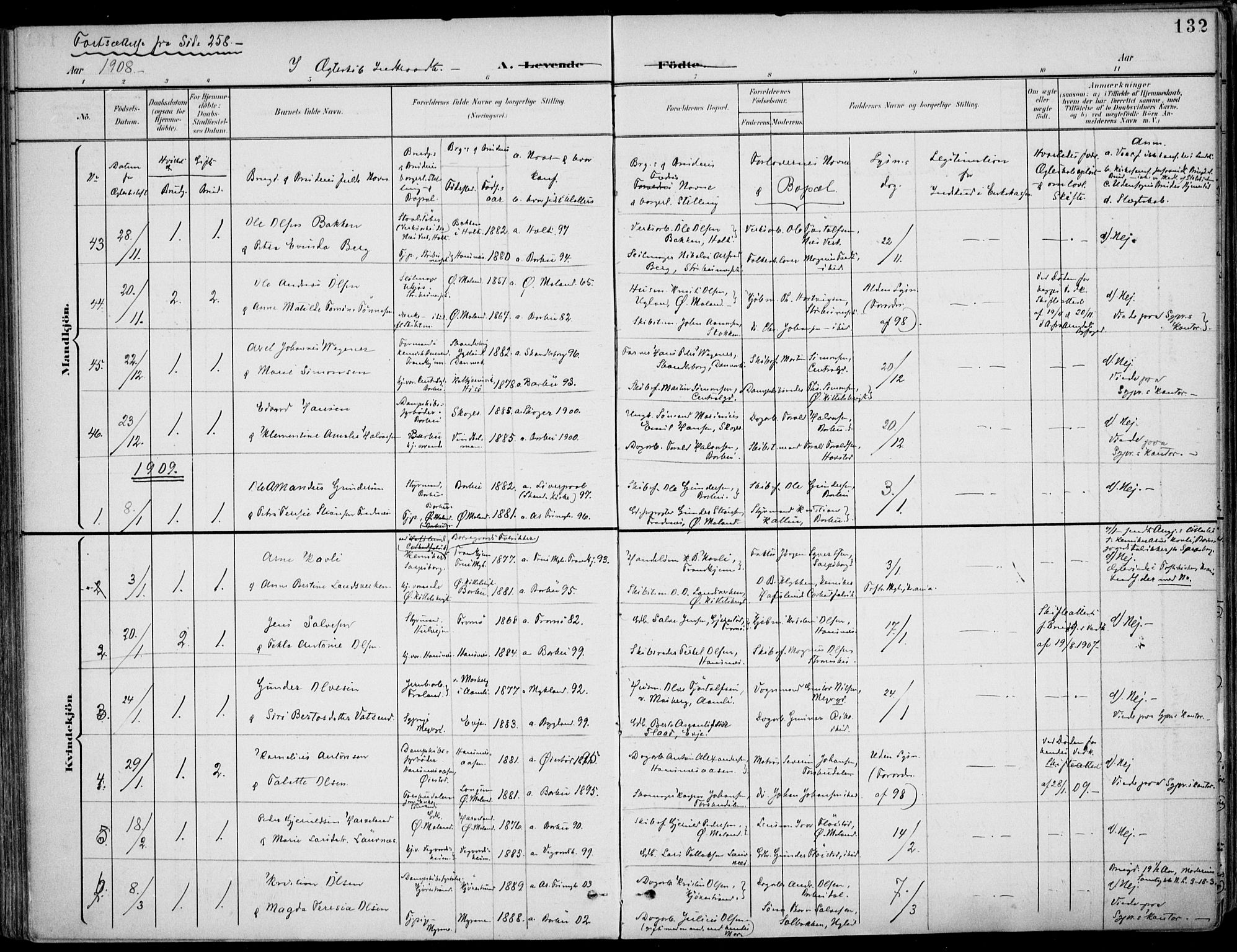 Barbu sokneprestkontor, AV/SAK-1111-0003/F/Fa/L0005: Parish register (official) no. A 5, 1899-1909, p. 132