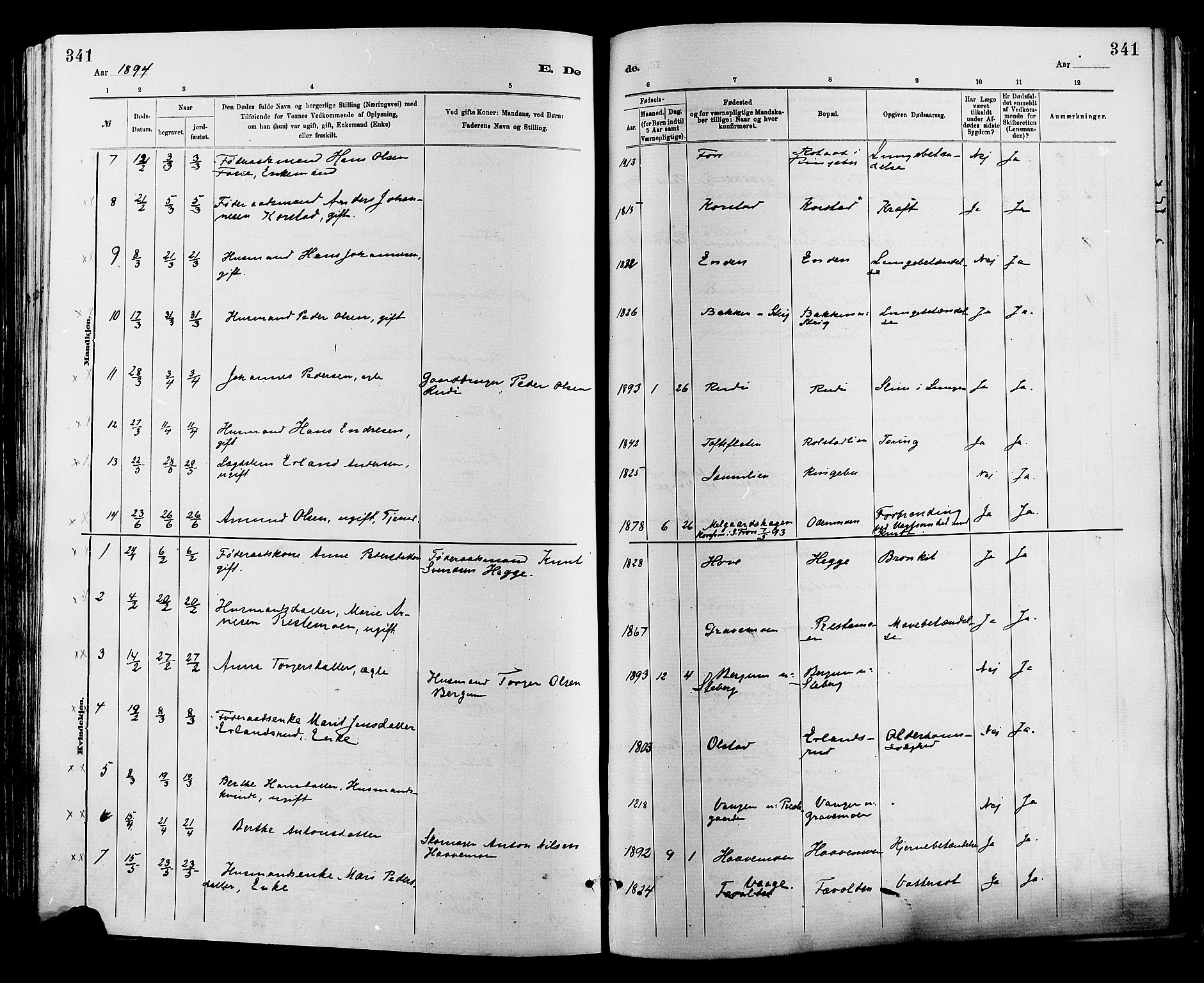 Sør-Fron prestekontor, SAH/PREST-010/H/Ha/Haa/L0003: Parish register (official) no. 3, 1881-1897, p. 341